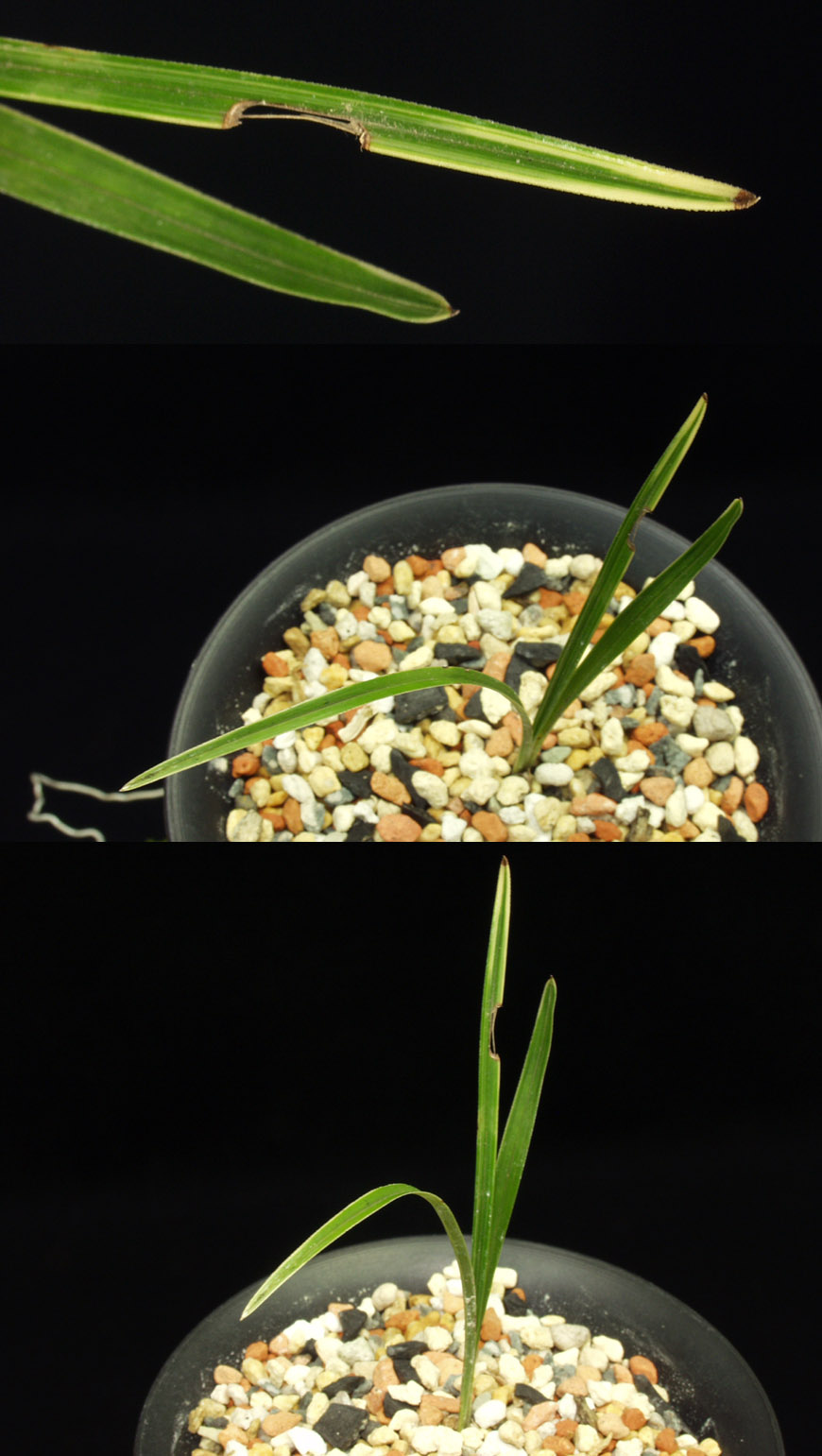 ������ ū������ �� �� �ֽ��ϴ�.