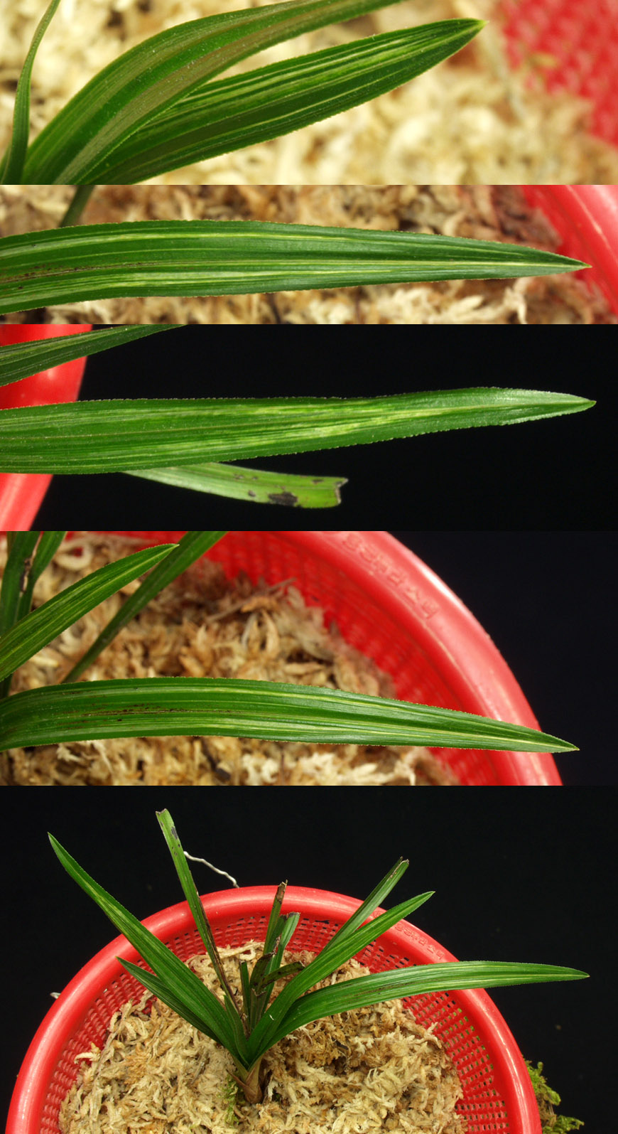 ������ ū������ �� �� �ֽ��ϴ�.