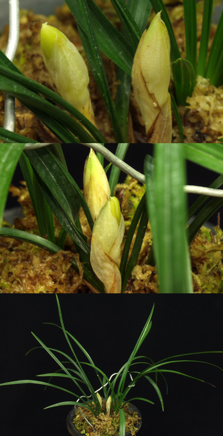 ������ ū������ �� �� �ֽ��ϴ�.