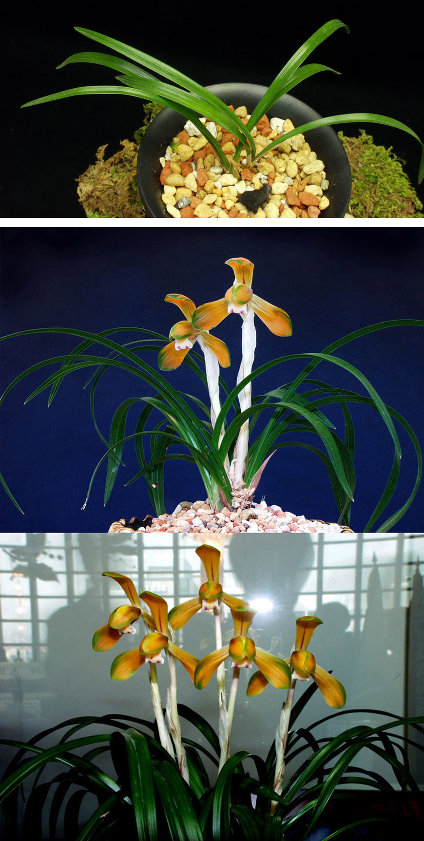 ������ ū������ �� �� �ֽ��ϴ�.