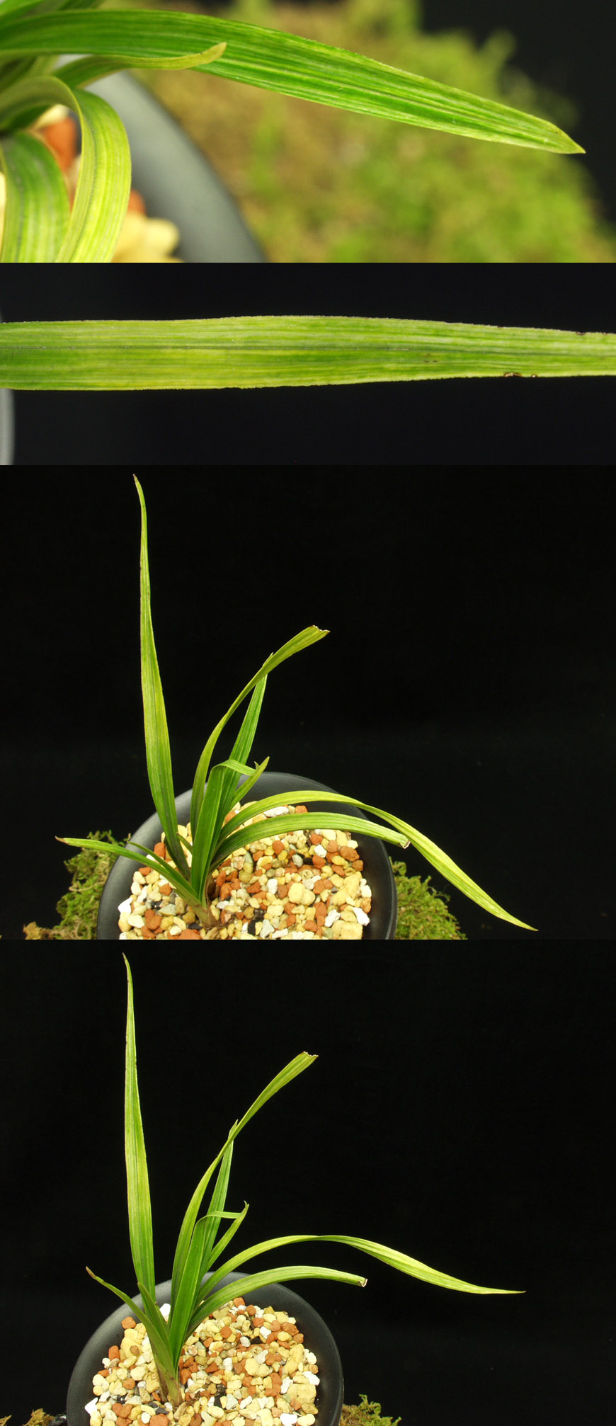 ������ ū������ �� �� �ֽ��ϴ�.