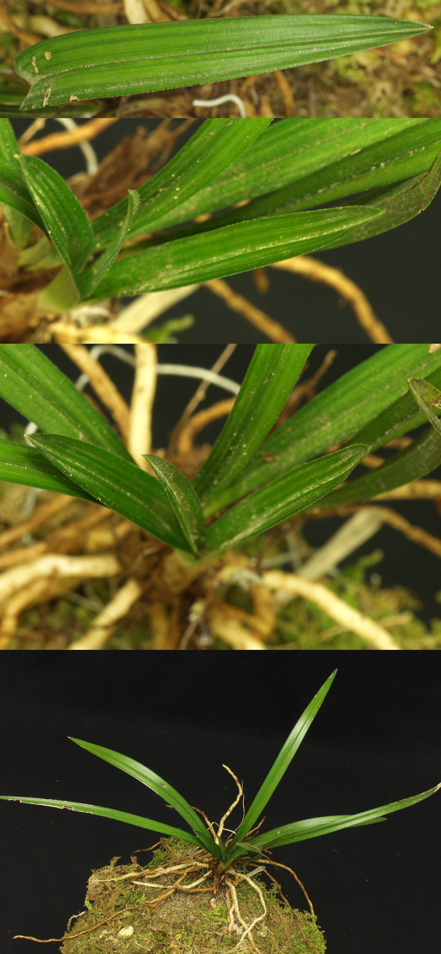 ������ ū������ �� �� �ֽ��ϴ�.