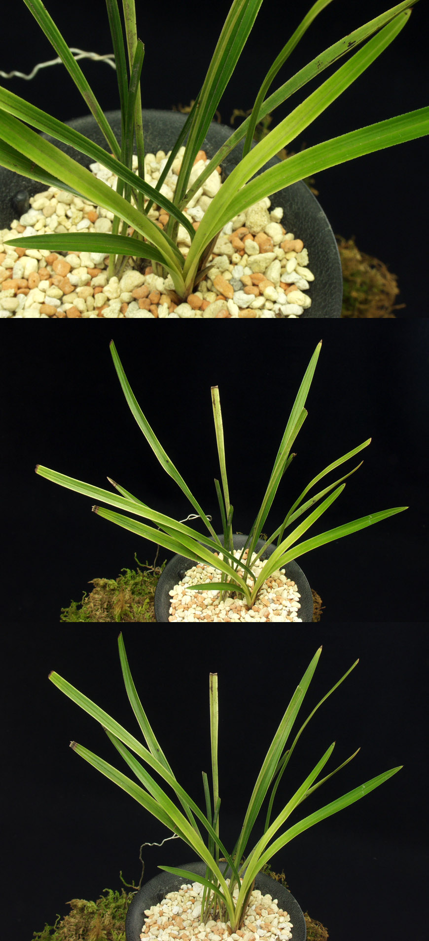 ������ ū������ �� �� �ֽ��ϴ�.