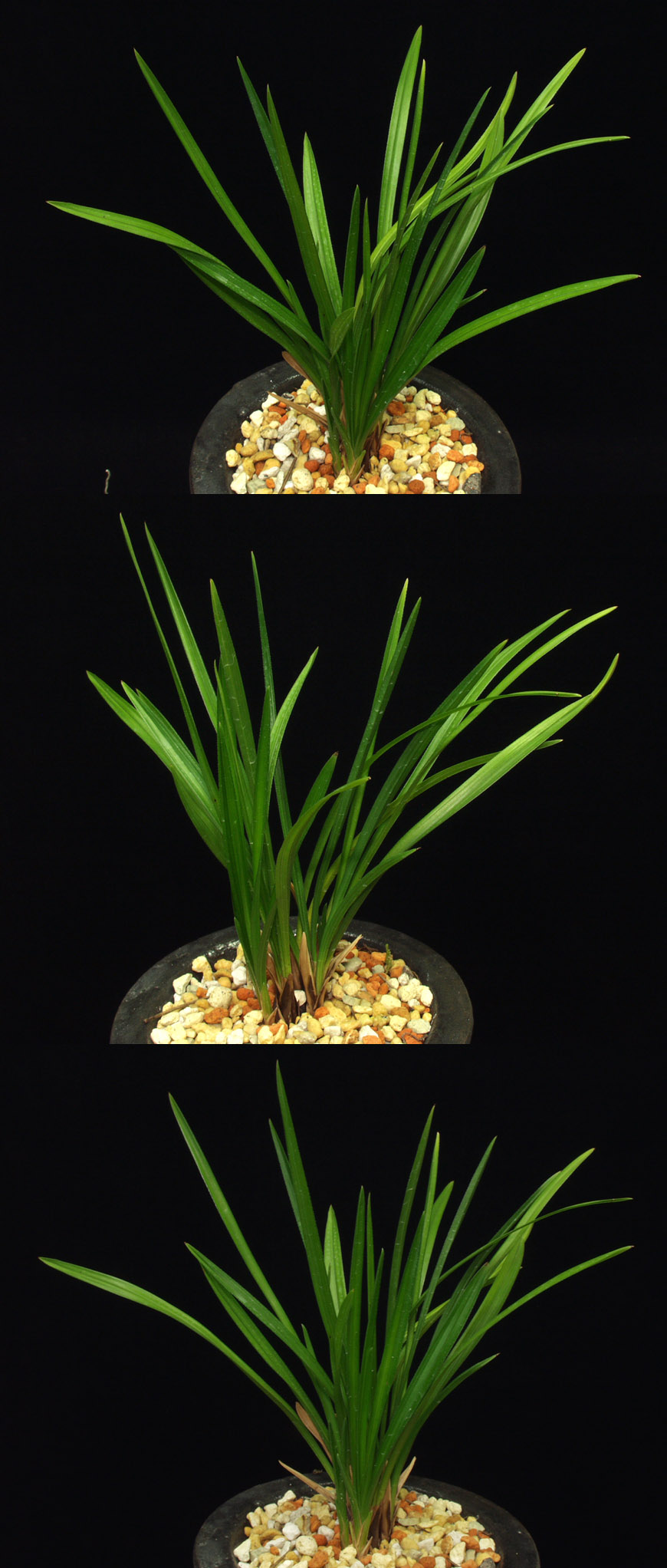 ������ ū������ �� �� �ֽ��ϴ�.