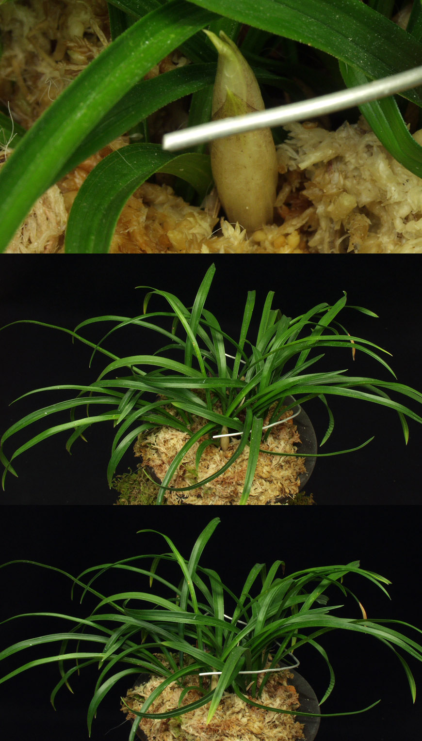 ������ ū������ �� �� �ֽ��ϴ�.