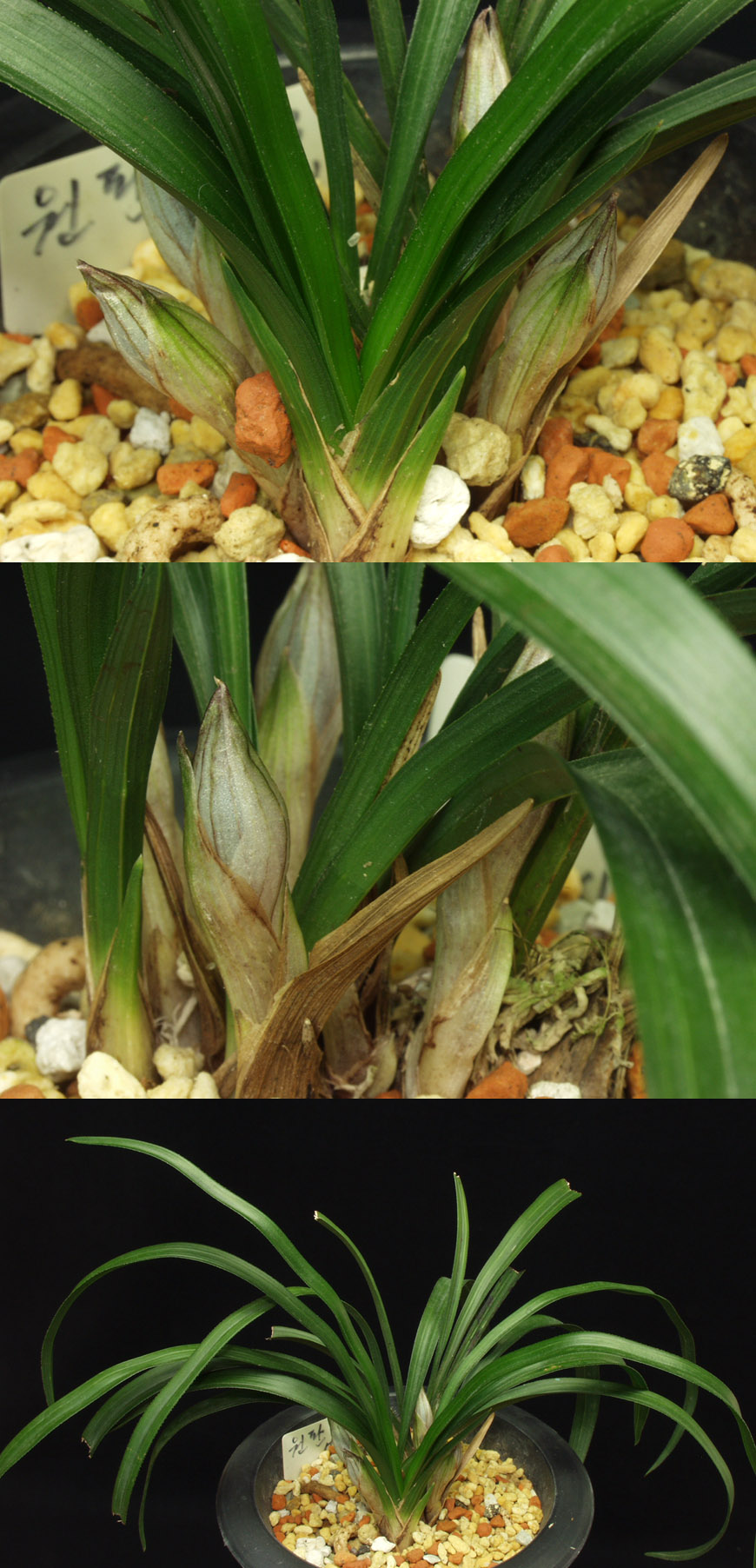 ������ ū������ �� �� �ֽ��ϴ�.