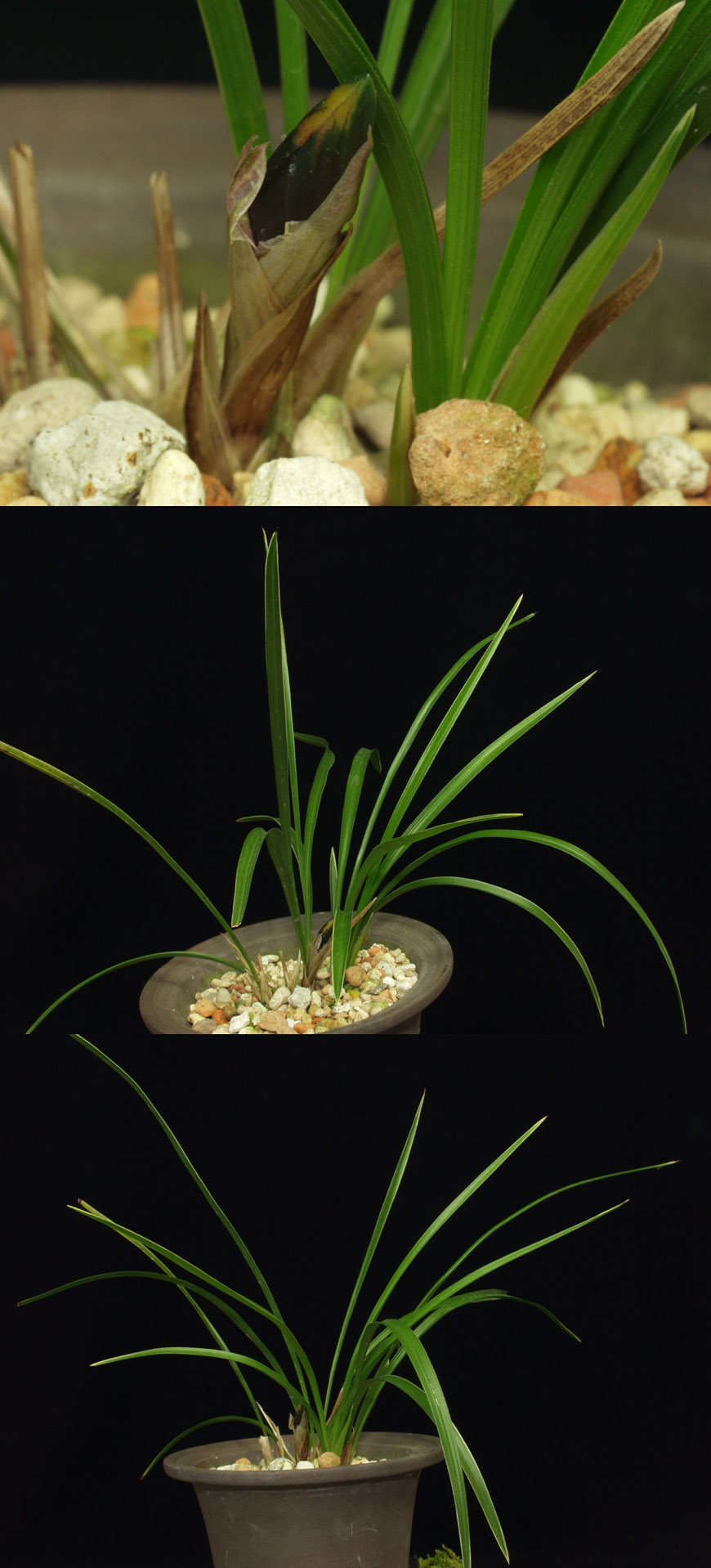 ������ ū������ �� �� �ֽ��ϴ�.