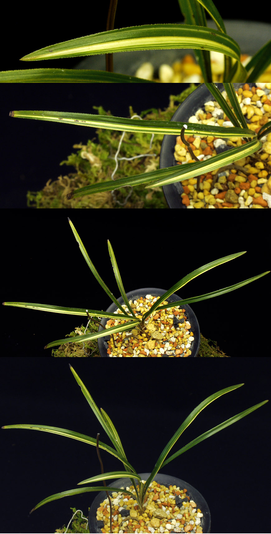 ������ ū������ �� �� �ֽ��ϴ�.