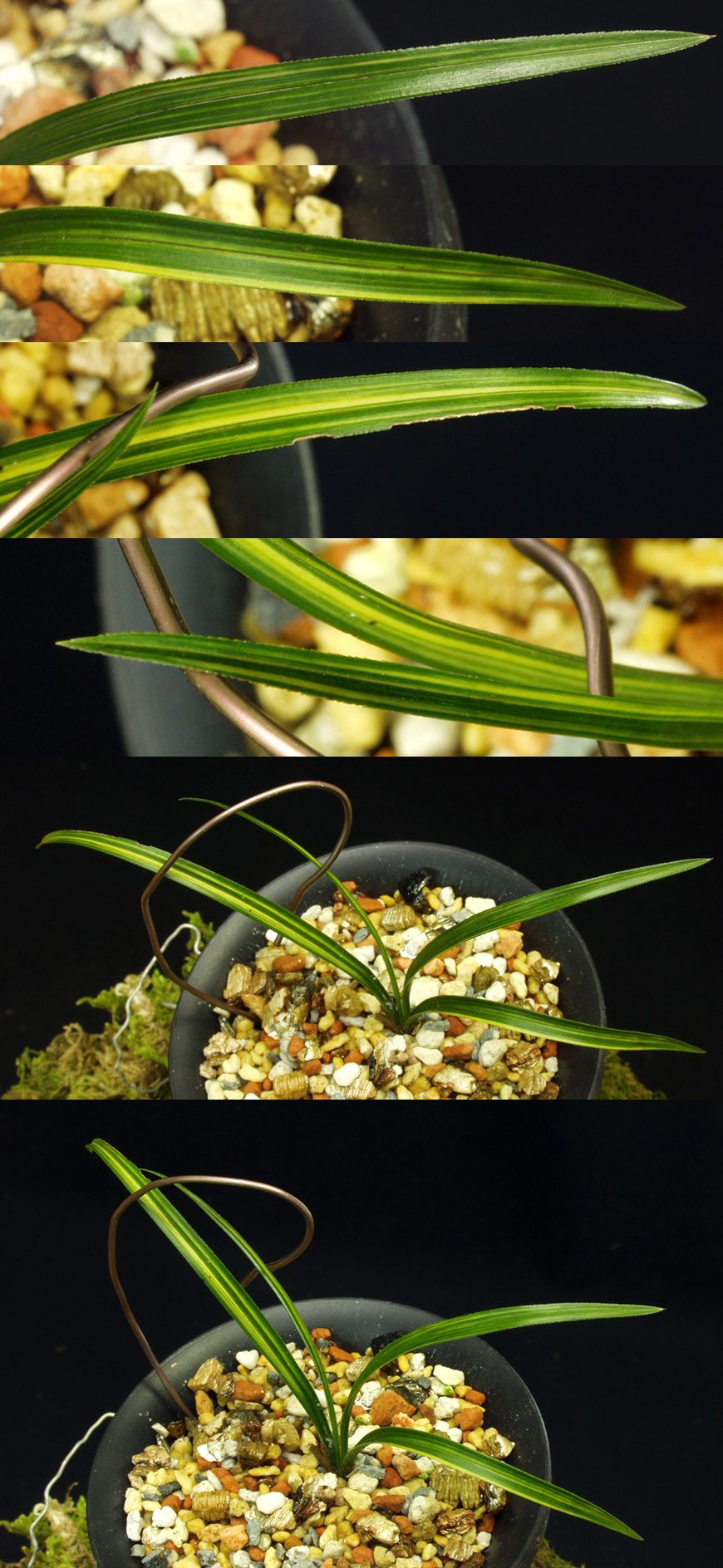 ������ ū������ �� �� �ֽ��ϴ�.