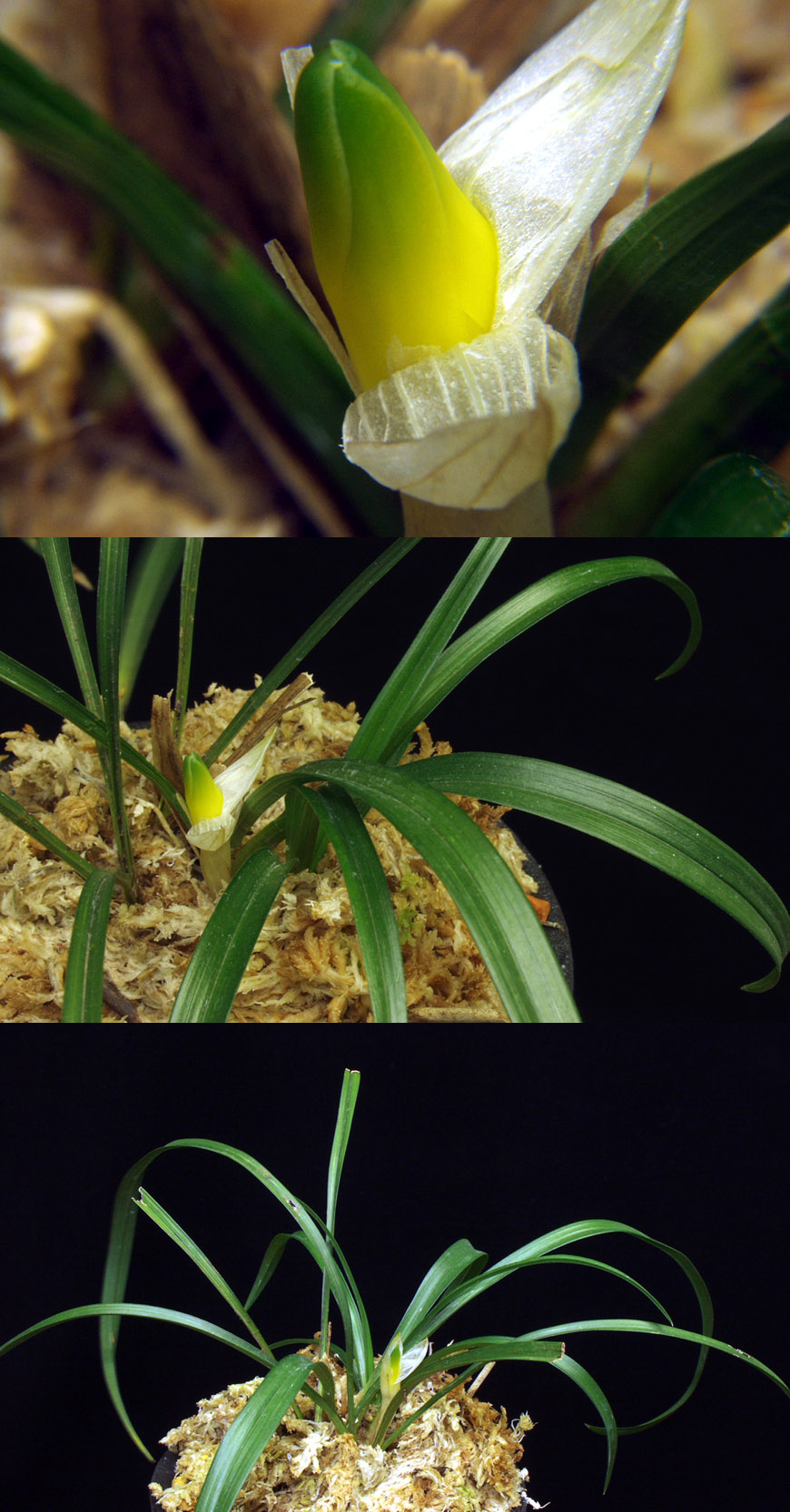 ������ ū������ �� �� �ֽ��ϴ�.