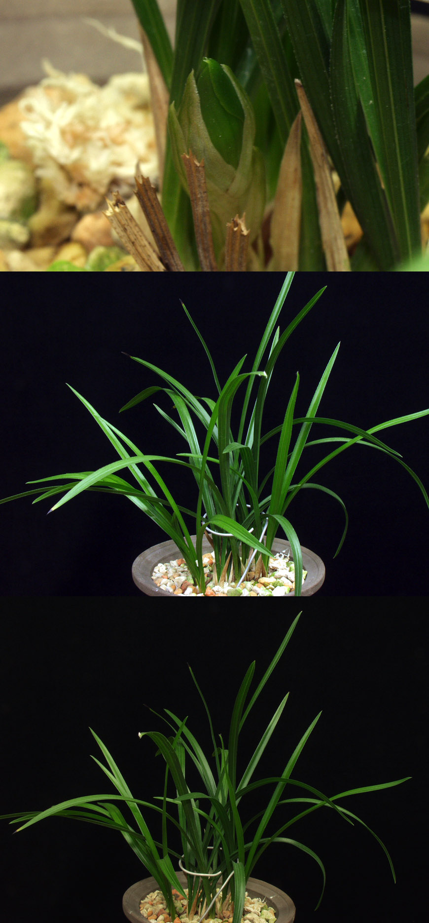 ������ ū������ �� �� �ֽ��ϴ�.