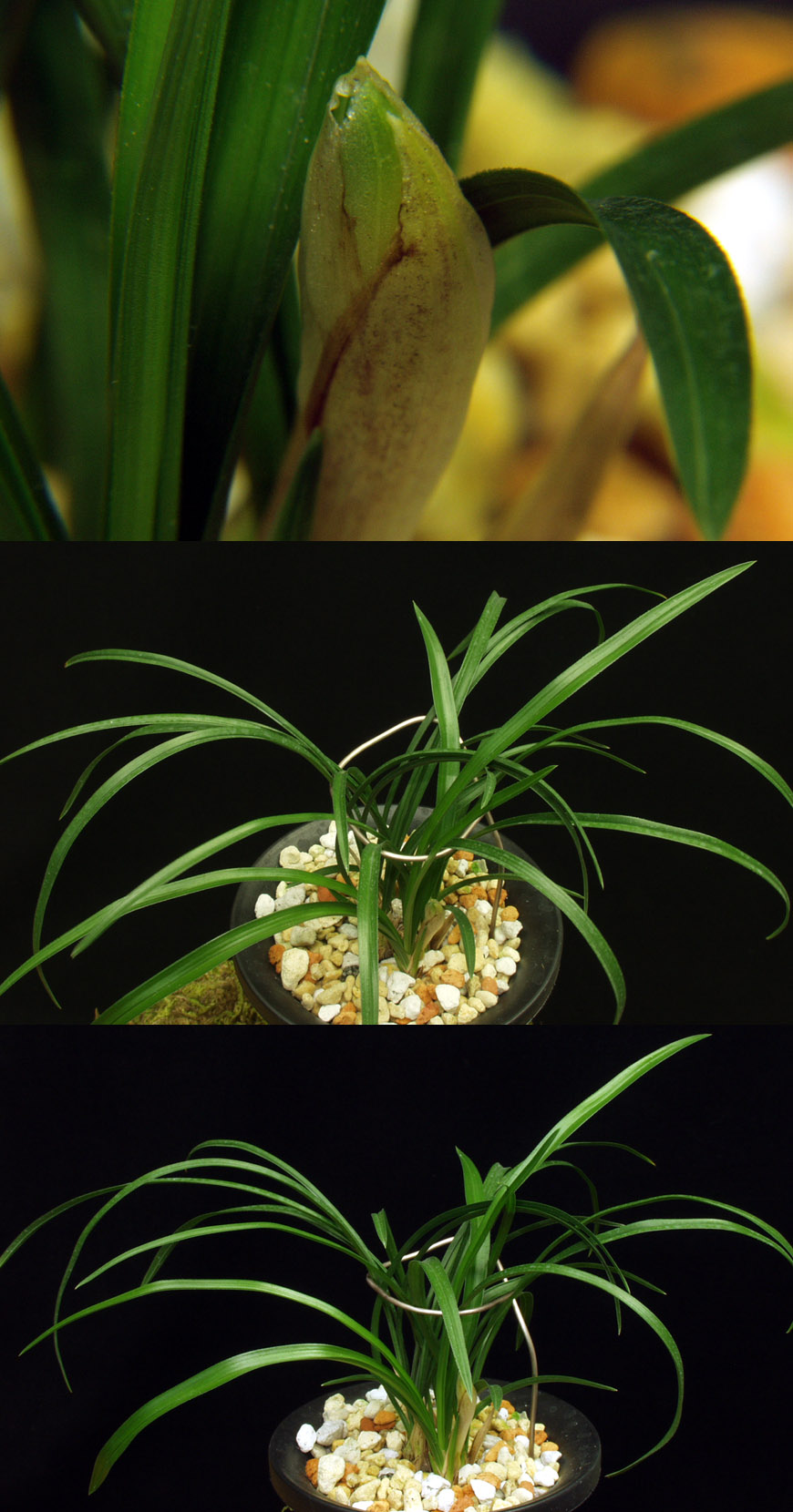 ������ ū������ �� �� �ֽ��ϴ�.