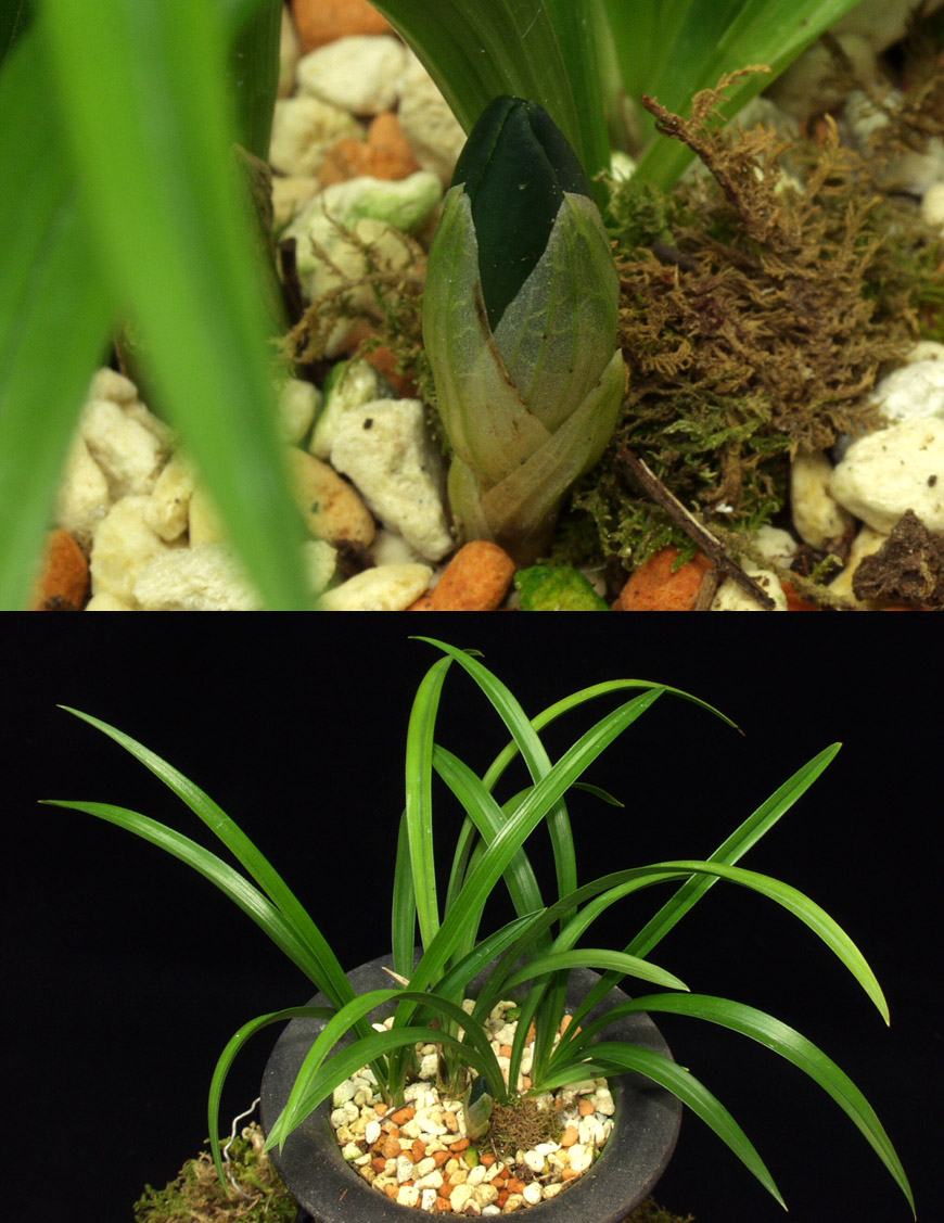 ������ ū������ �� �� �ֽ��ϴ�.