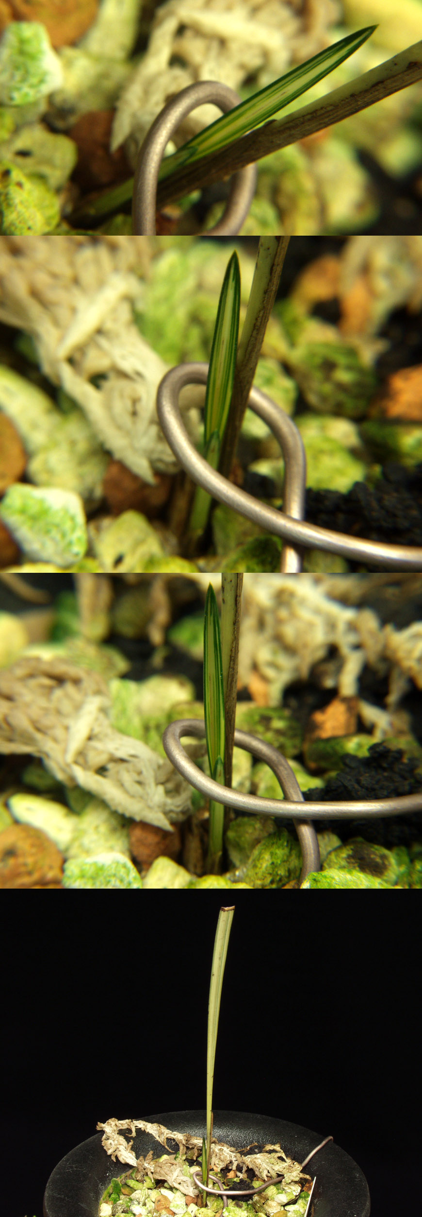 ������ ū������ �� �� �ֽ��ϴ�.