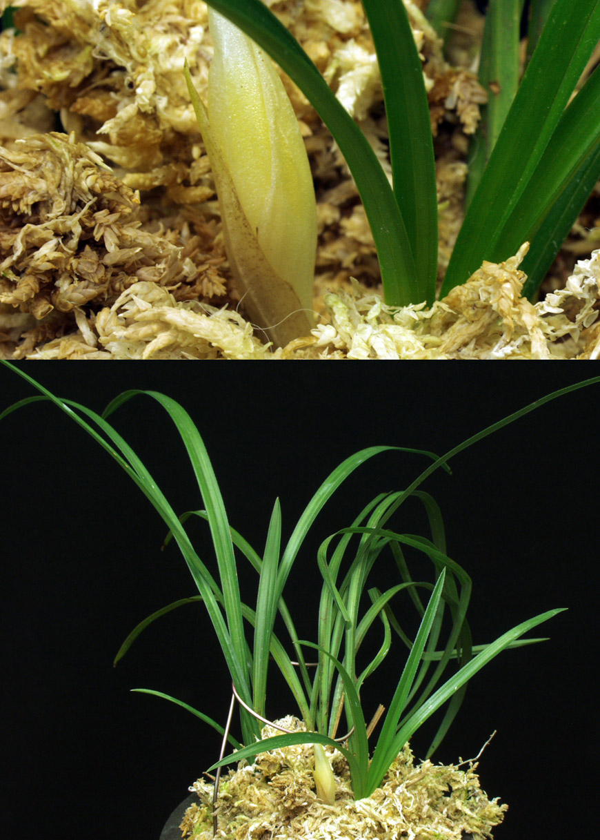 ������ ū������ �� �� �ֽ��ϴ�.