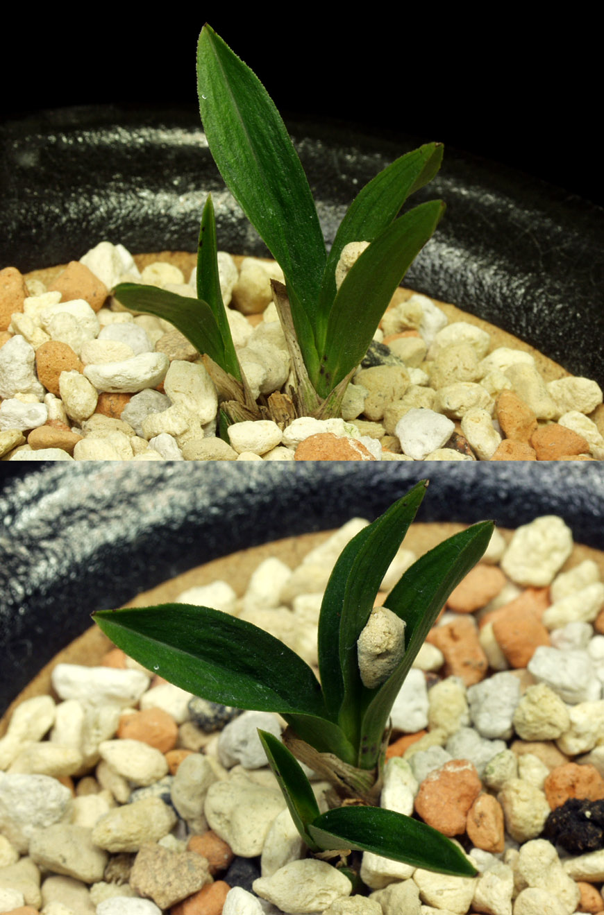 ������ ū������ �� �� �ֽ��ϴ�.