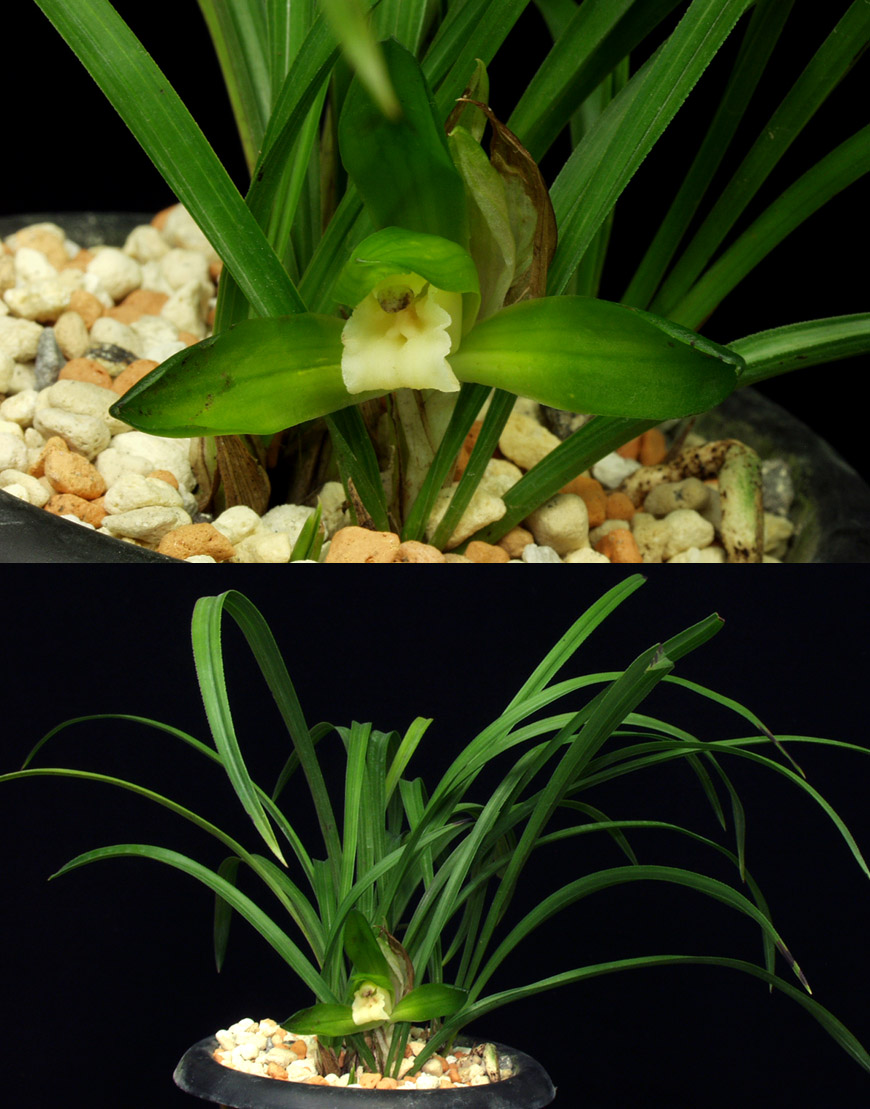 ������ ū������ �� �� �ֽ��ϴ�.