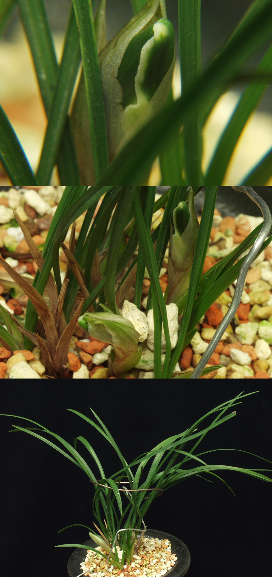 ������ ū������ �� �� �ֽ��ϴ�.