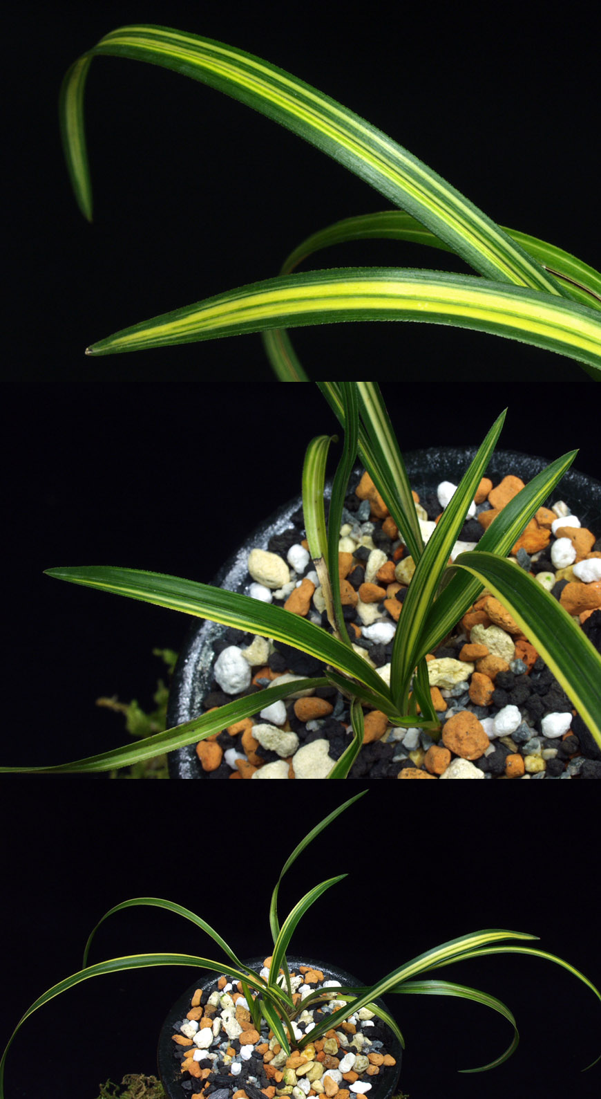 ������ ū������ �� �� �ֽ��ϴ�.