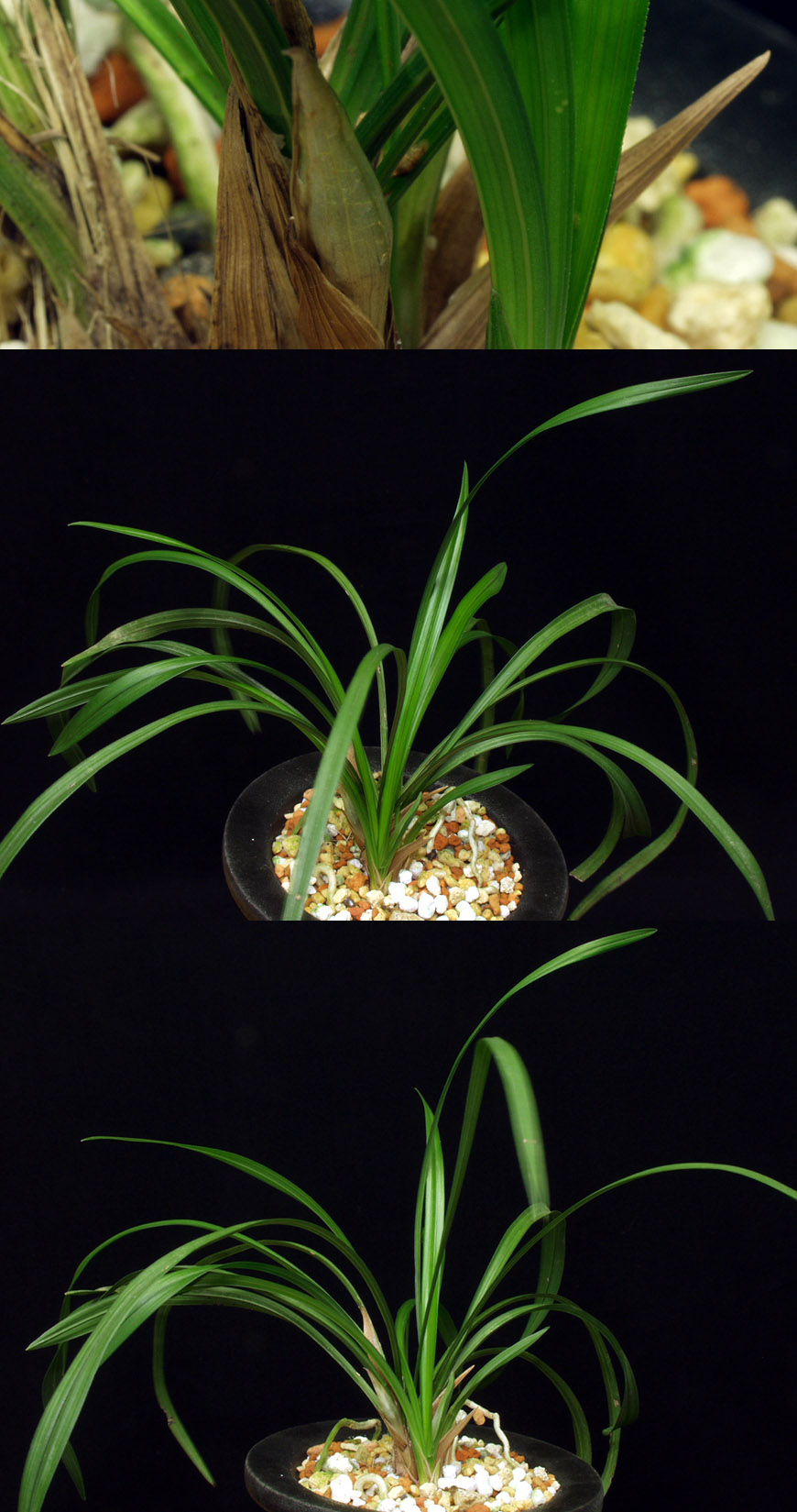 ������ ū������ �� �� �ֽ��ϴ�.