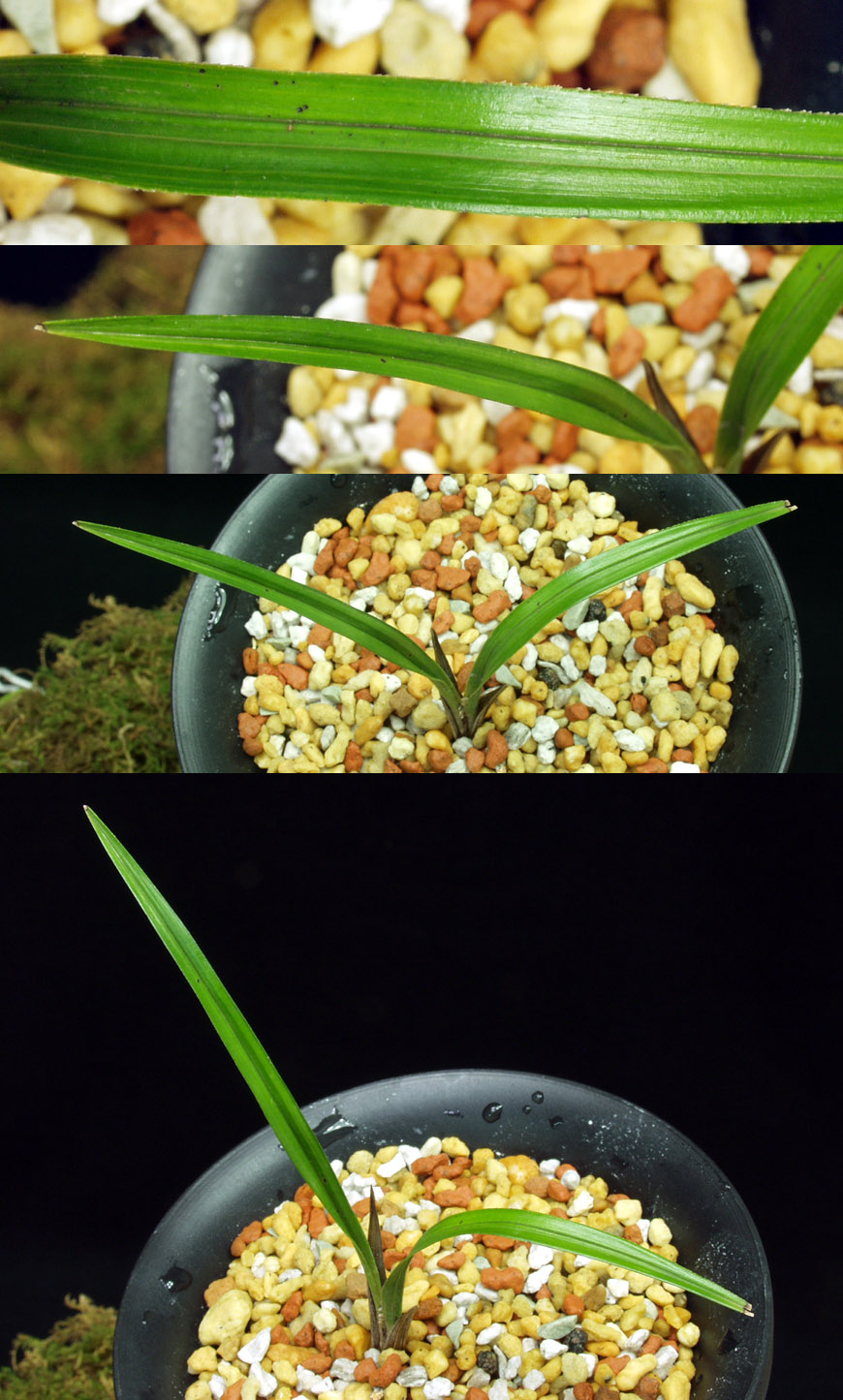 ������ ū������ �� �� �ֽ��ϴ�.