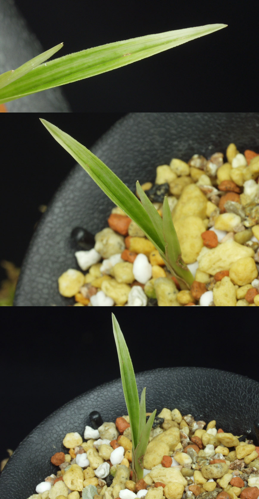 ������ ū������ �� �� �ֽ��ϴ�.