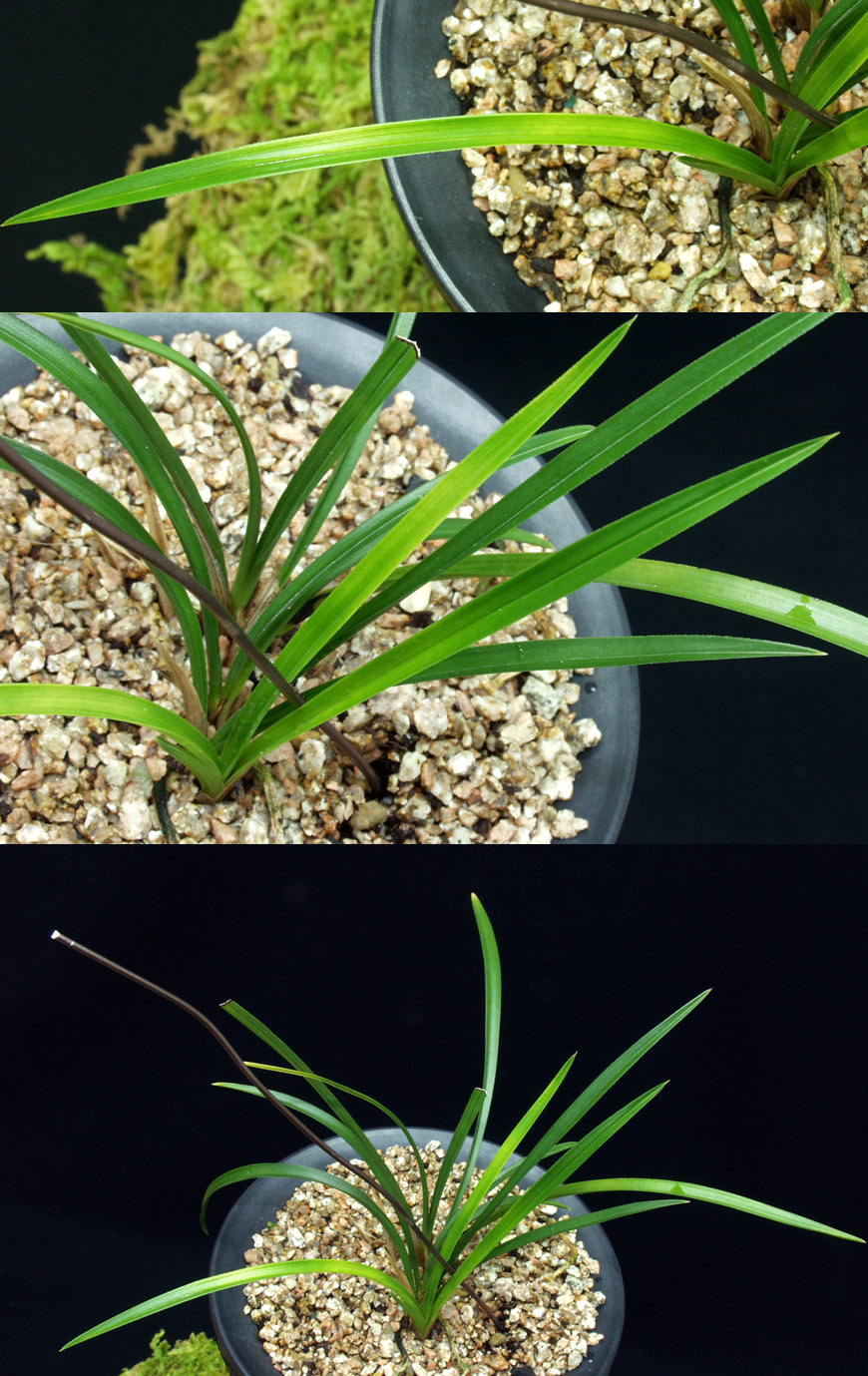 ������ ū������ �� �� �ֽ��ϴ�.