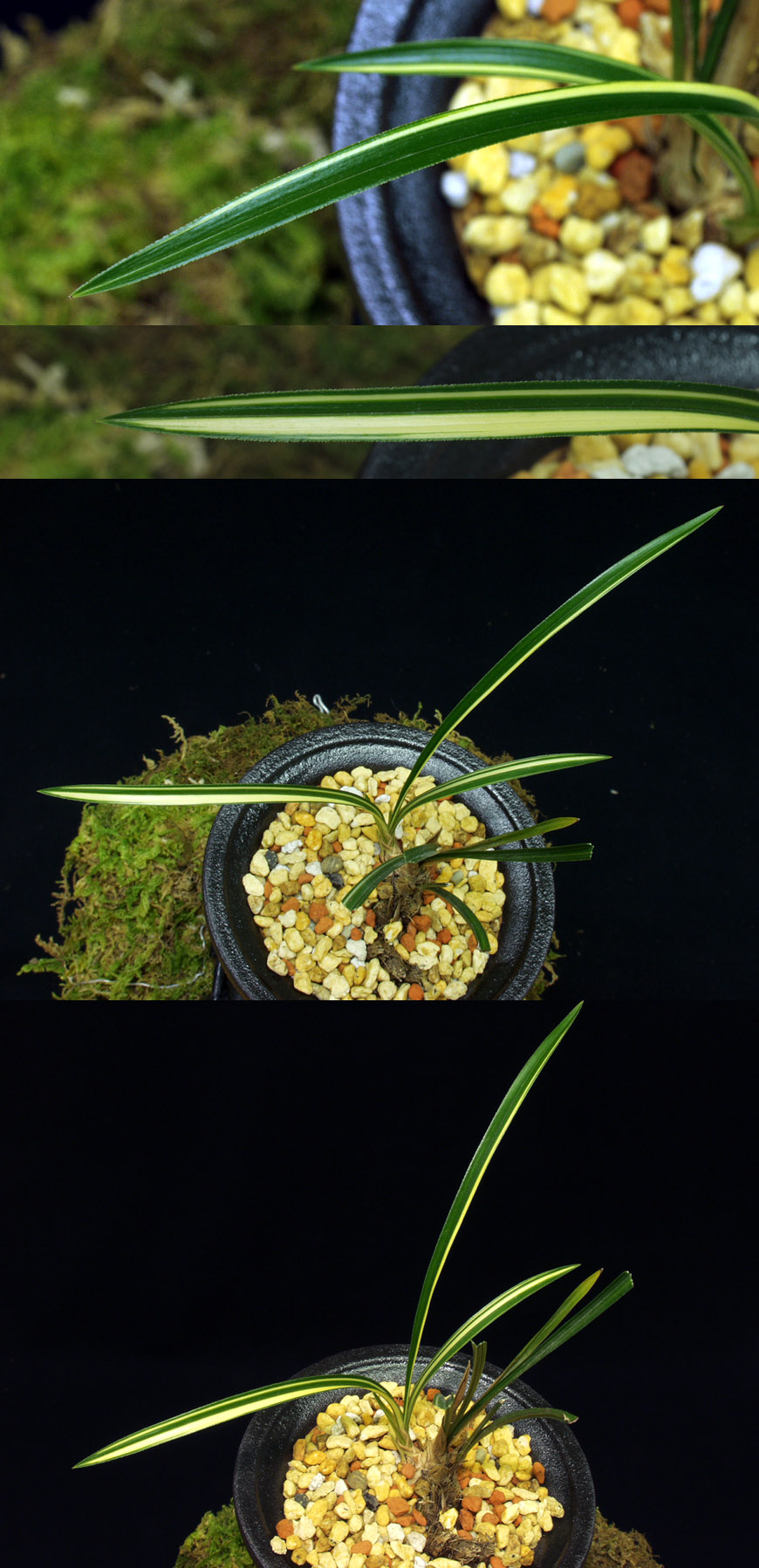 ������ ū������ �� �� �ֽ��ϴ�.