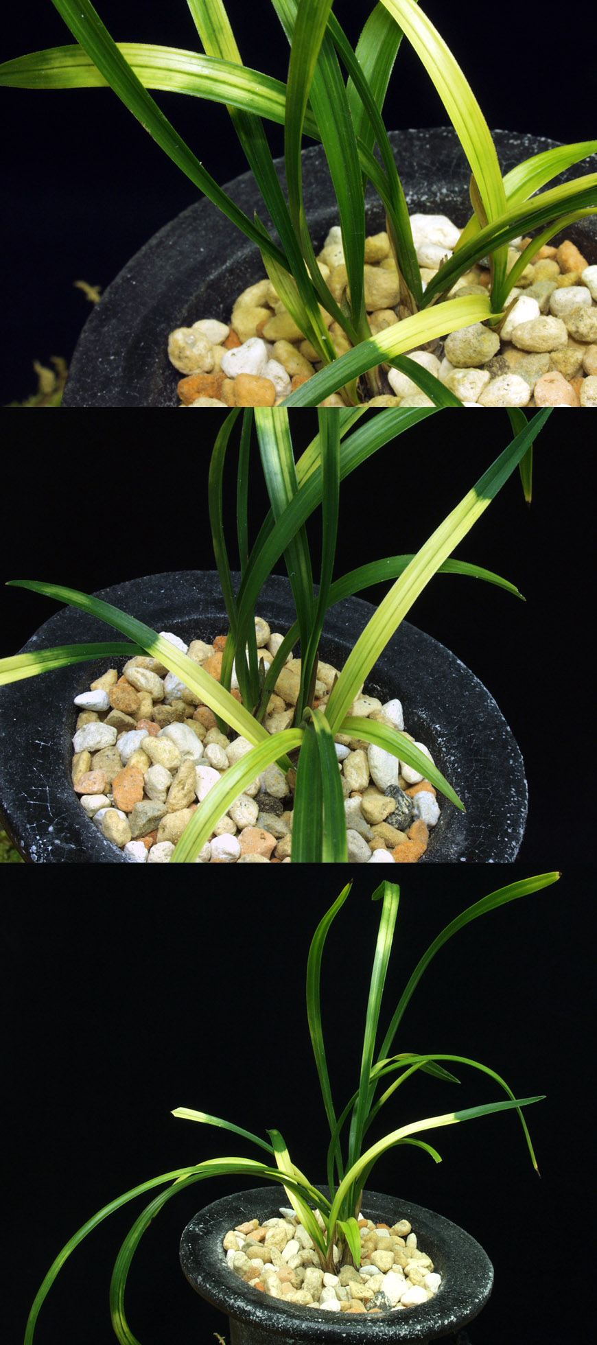 ������ ū������ �� �� �ֽ��ϴ�.