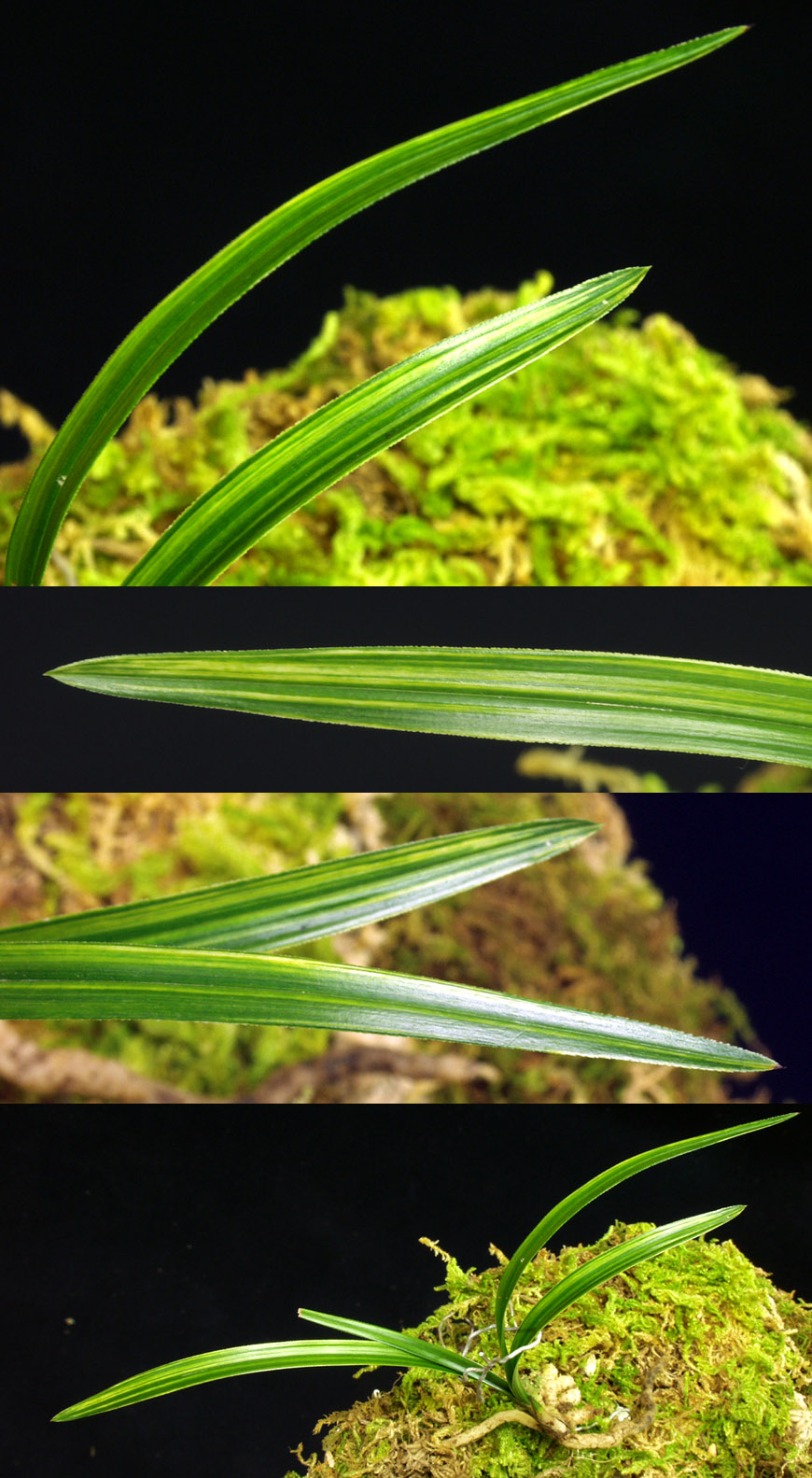 ������ ū������ �� �� �ֽ��ϴ�.