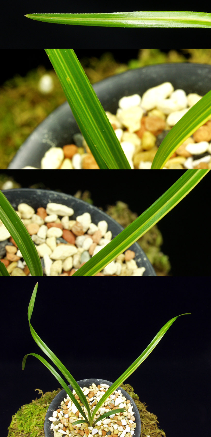 ������ ū������ �� �� �ֽ��ϴ�.