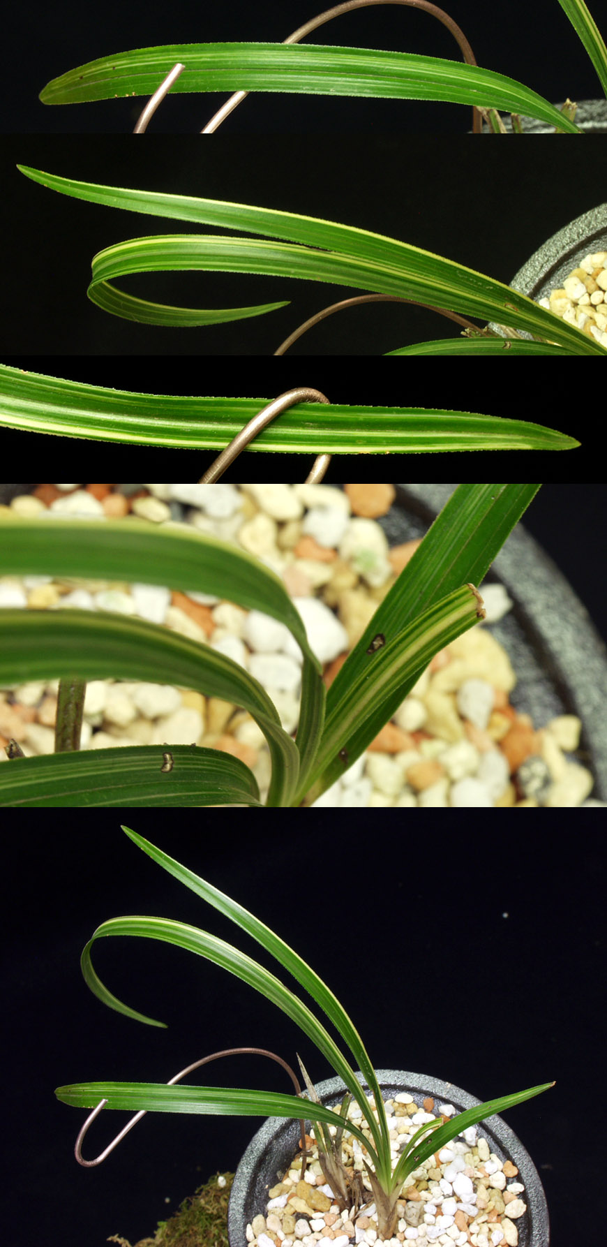 ������ ū������ �� �� �ֽ��ϴ�.