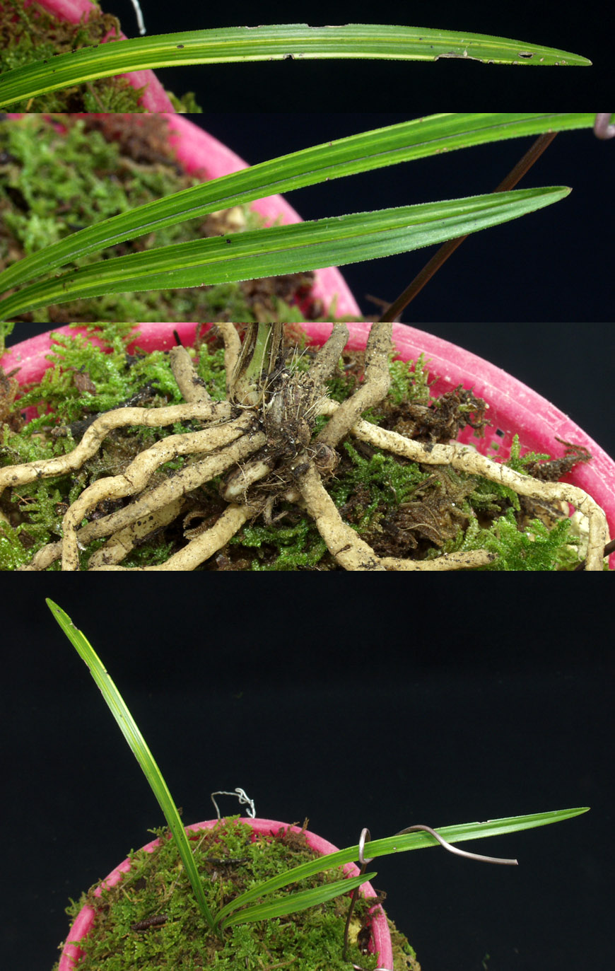 ������ ū������ �� �� �ֽ��ϴ�.