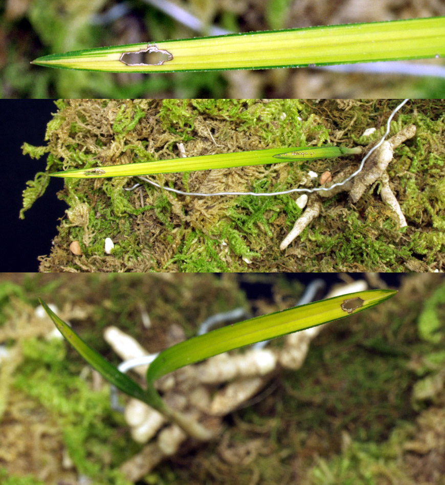 ������ ū������ �� �� �ֽ��ϴ�.