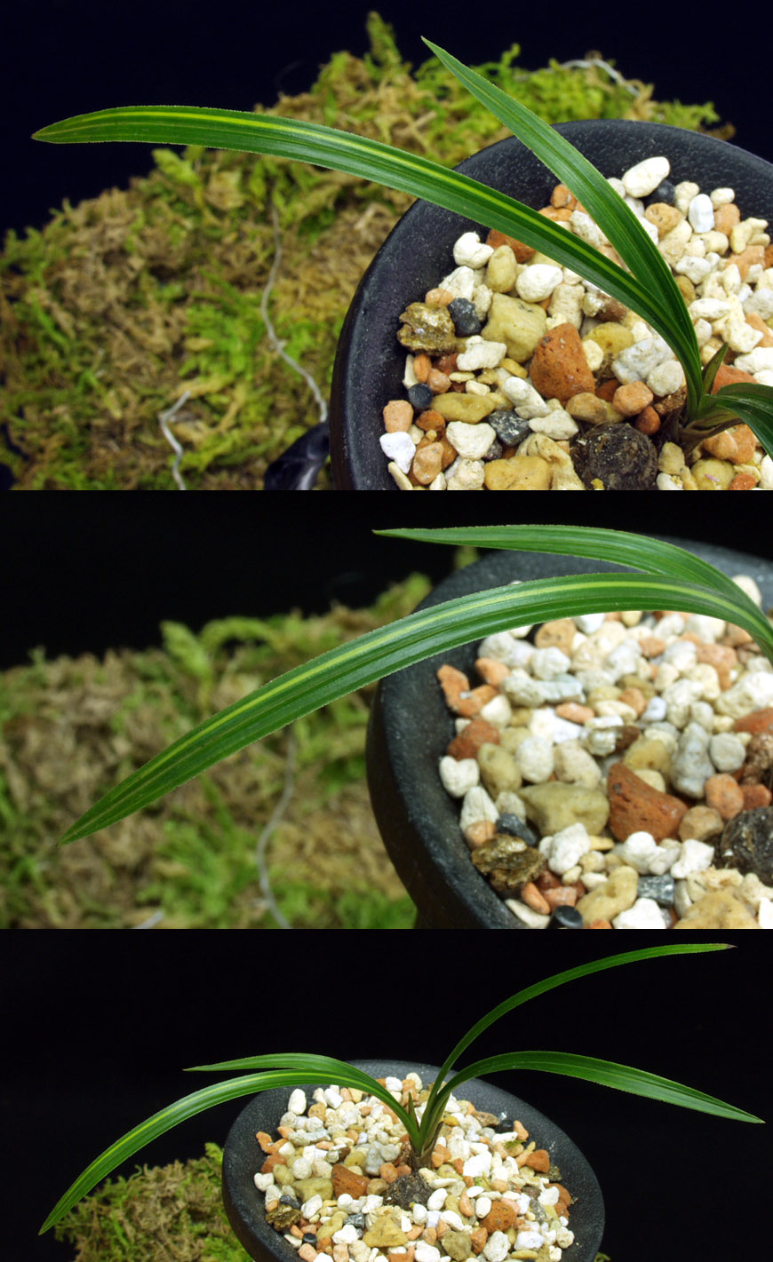 ������ ū������ �� �� �ֽ��ϴ�.