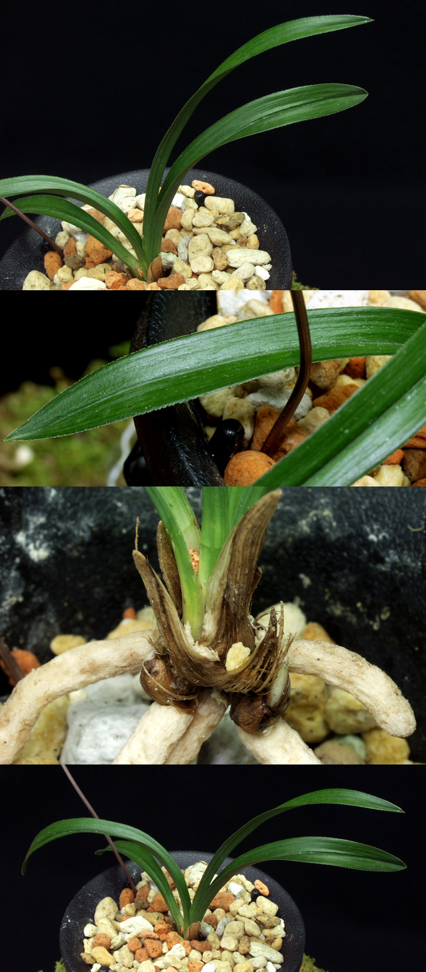 ������ ū������ �� �� �ֽ��ϴ�.