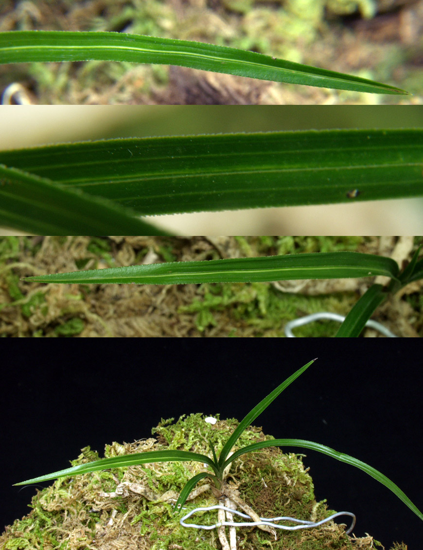 ������ ū������ �� �� �ֽ��ϴ�.