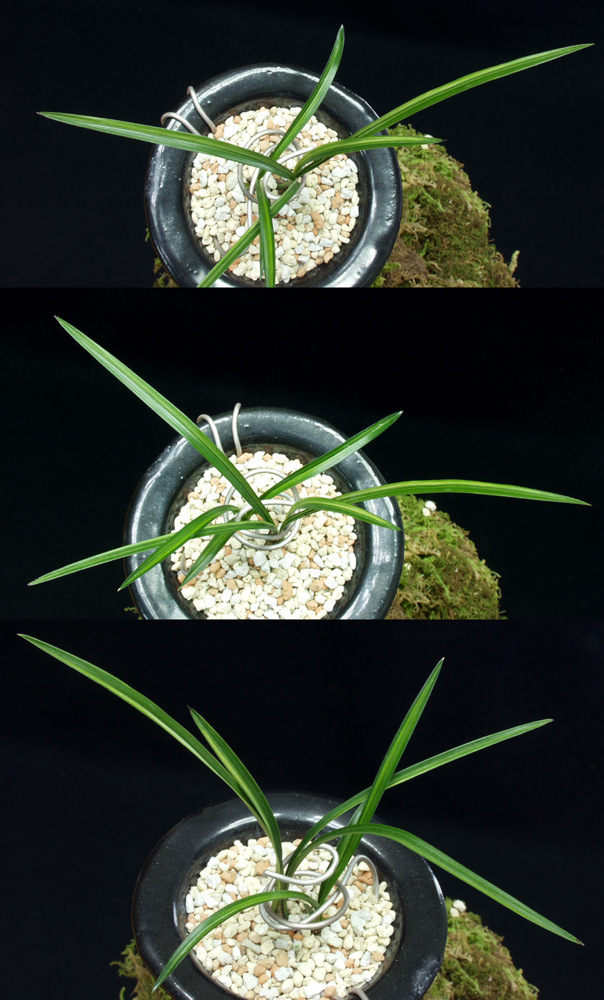 ������ ū������ �� �� �ֽ��ϴ�.