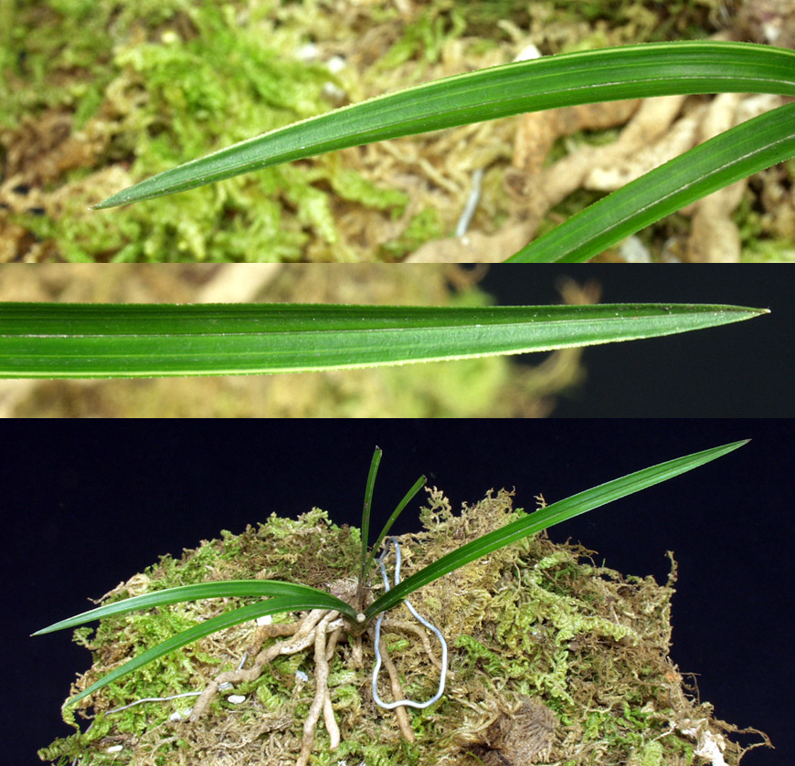 ������ ū������ �� �� �ֽ��ϴ�.