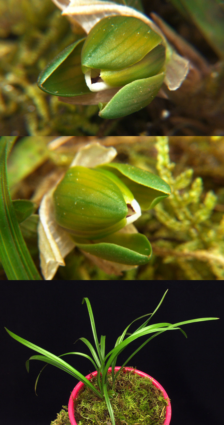 ������ ū������ �� �� �ֽ��ϴ�.