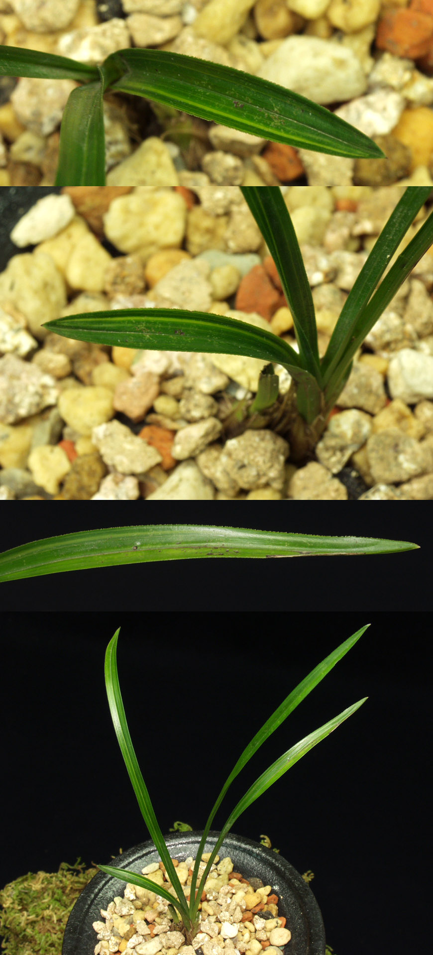 ������ ū������ �� �� �ֽ��ϴ�.