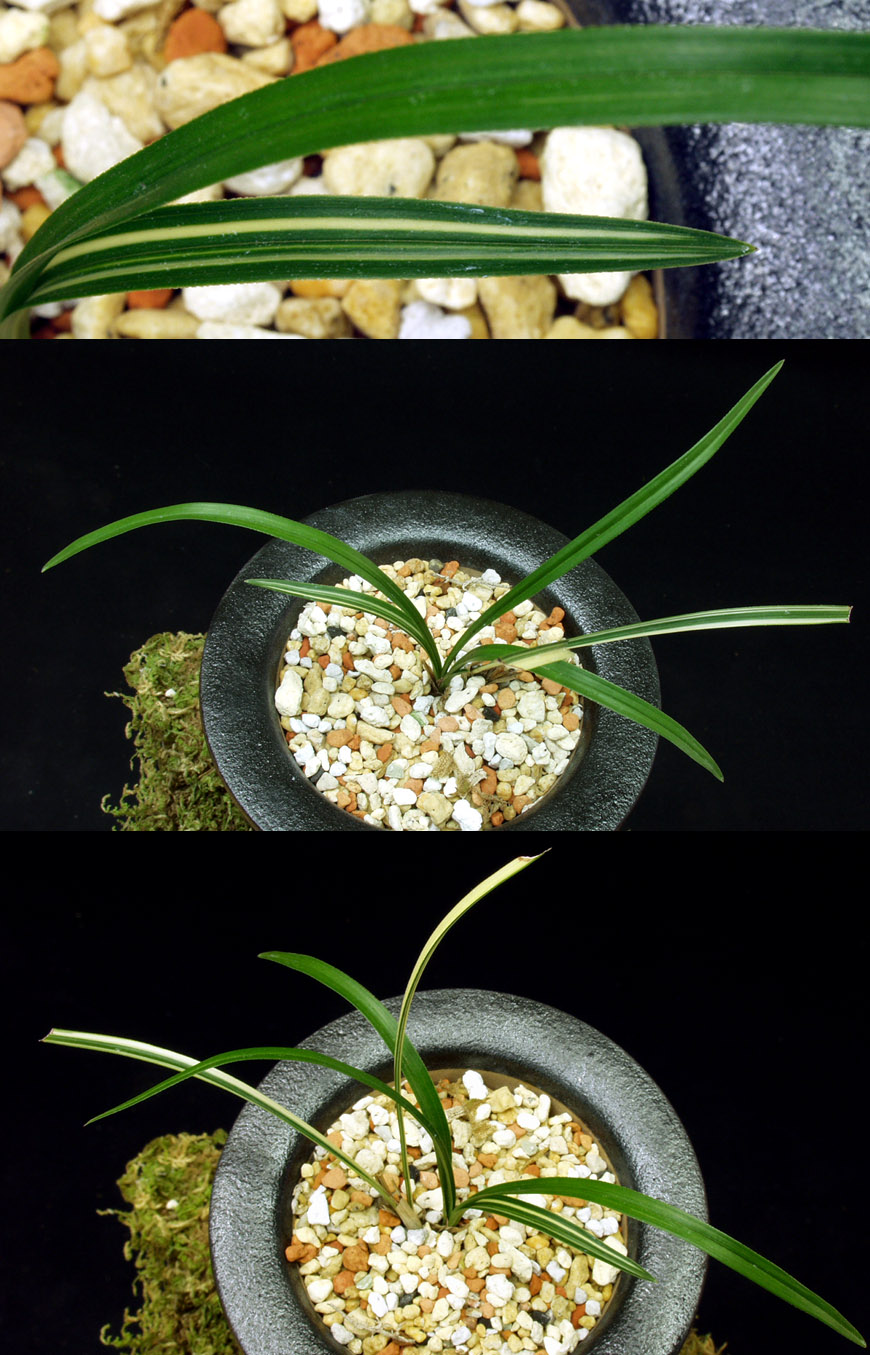 ������ ū������ �� �� �ֽ��ϴ�.