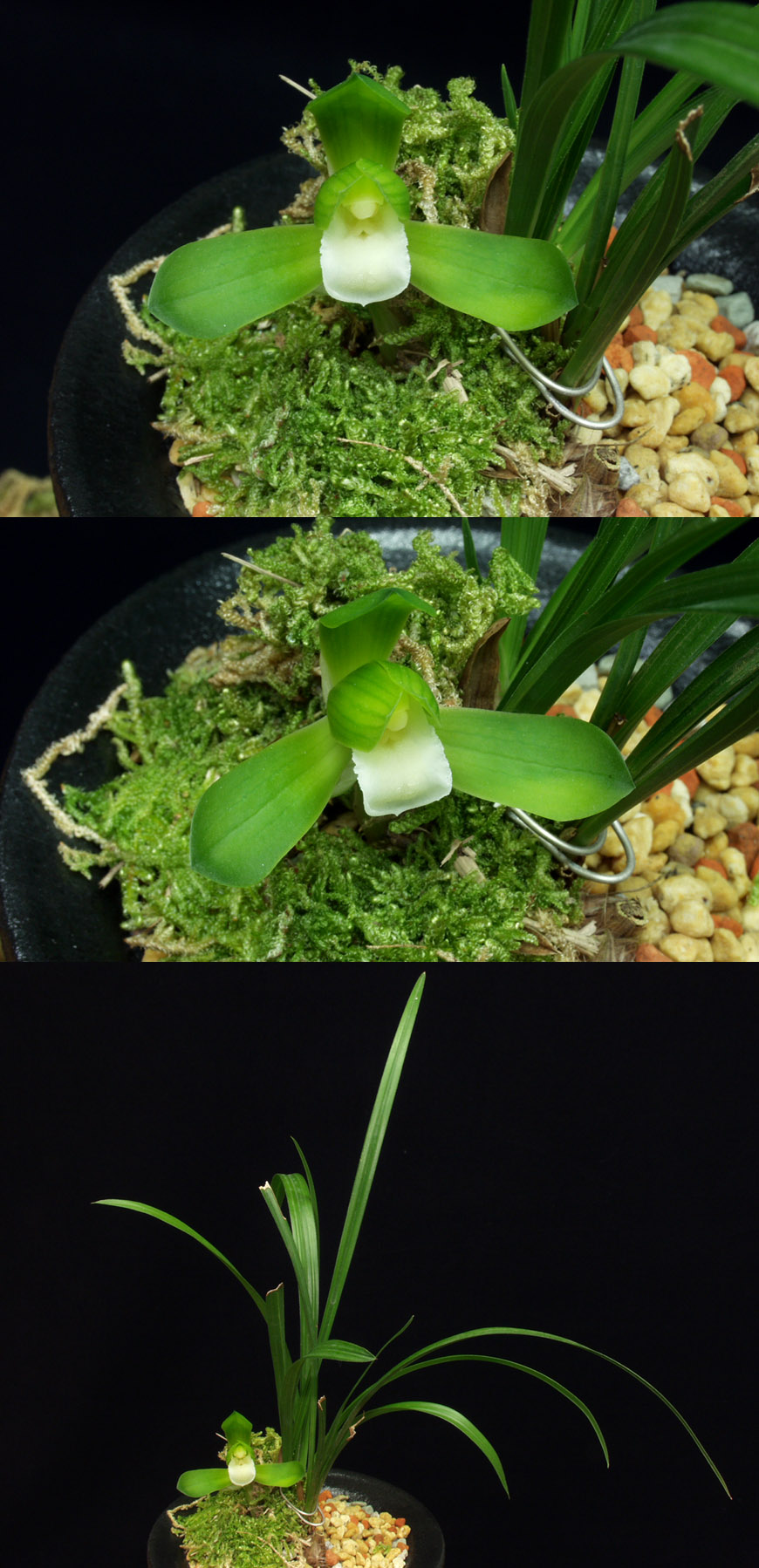 ������ ū������ �� �� �ֽ��ϴ�.