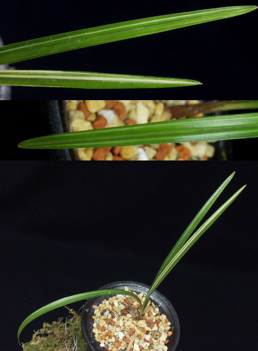 ������ ū������ �� �� �ֽ��ϴ�.