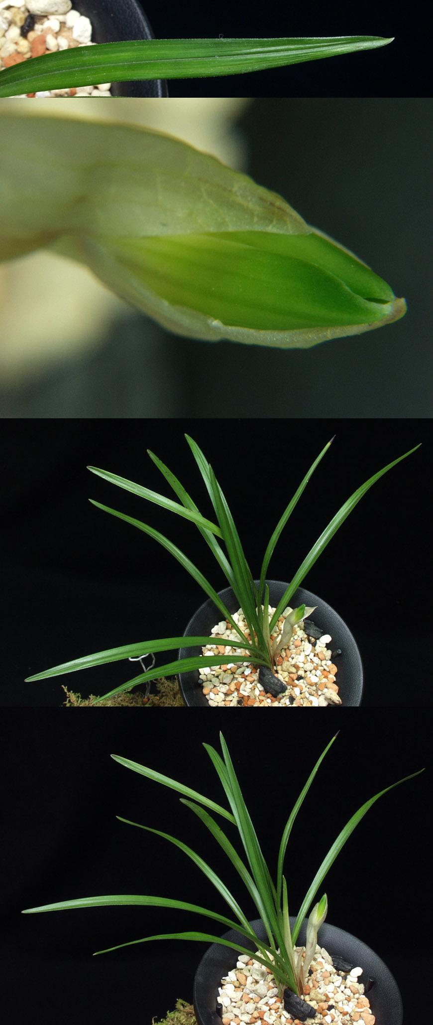 ������ ū������ �� �� �ֽ��ϴ�.