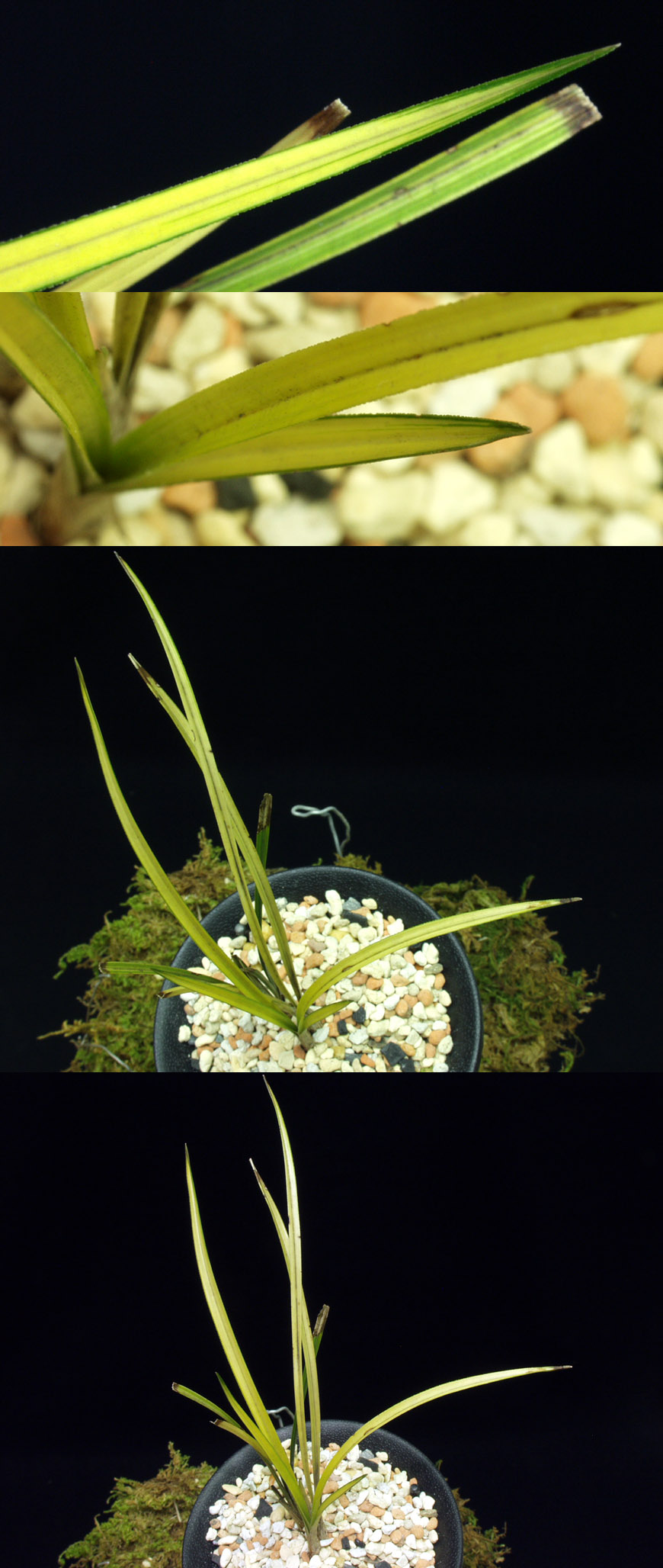 ������ ū������ �� �� �ֽ��ϴ�.