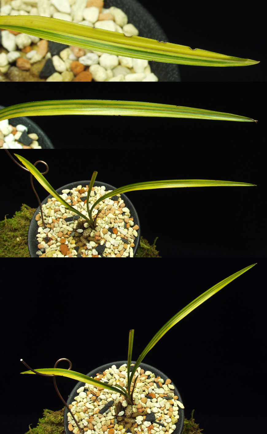 ������ ū������ �� �� �ֽ��ϴ�.