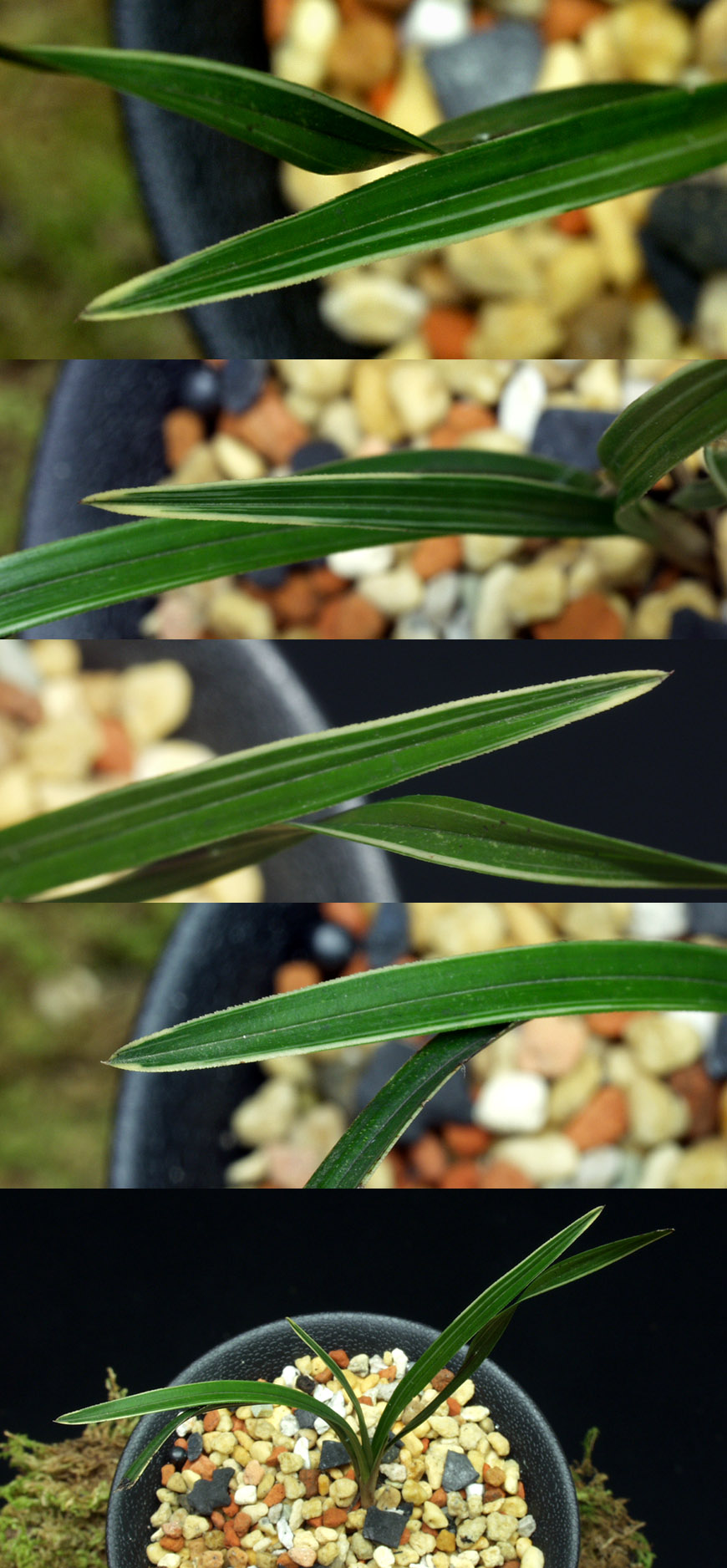 ������ ū������ �� �� �ֽ��ϴ�.