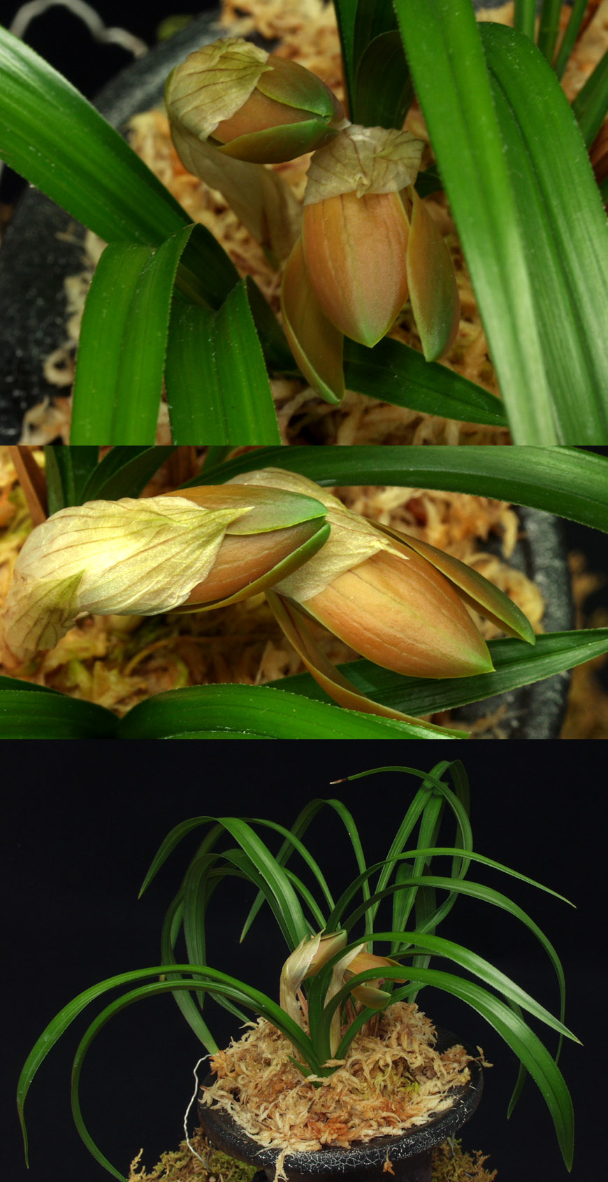 ������ ū������ �� �� �ֽ��ϴ�.