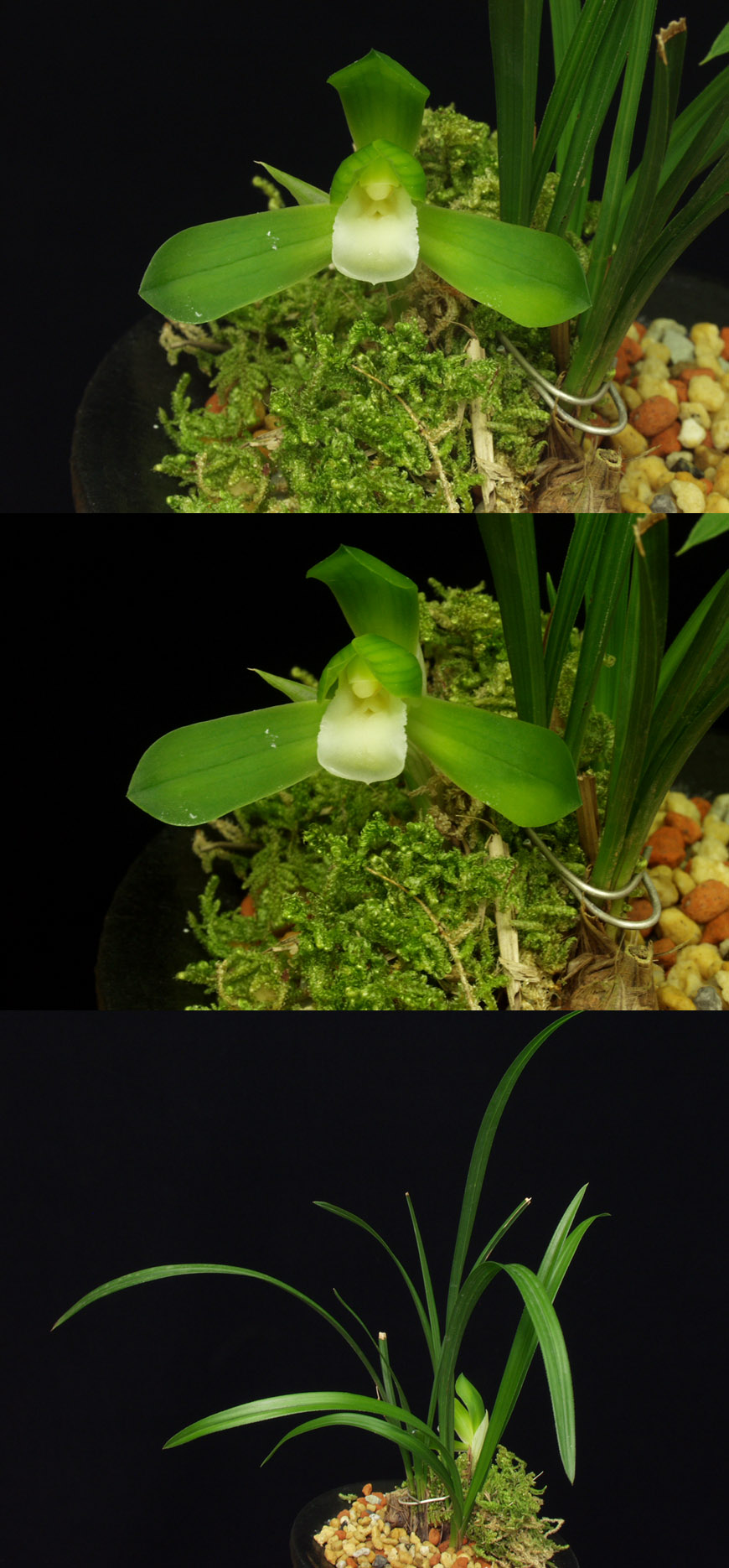 ������ ū������ �� �� �ֽ��ϴ�.